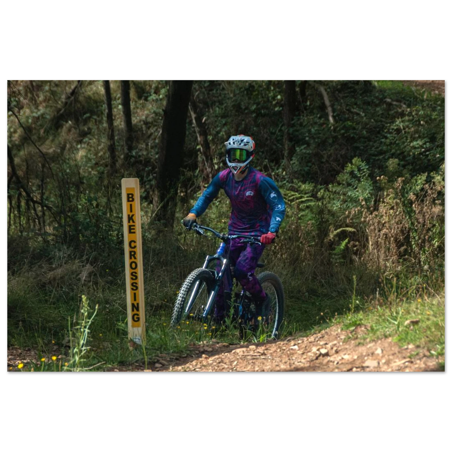 01cec26d-ade4-4ffa-8f70-402d8164b420