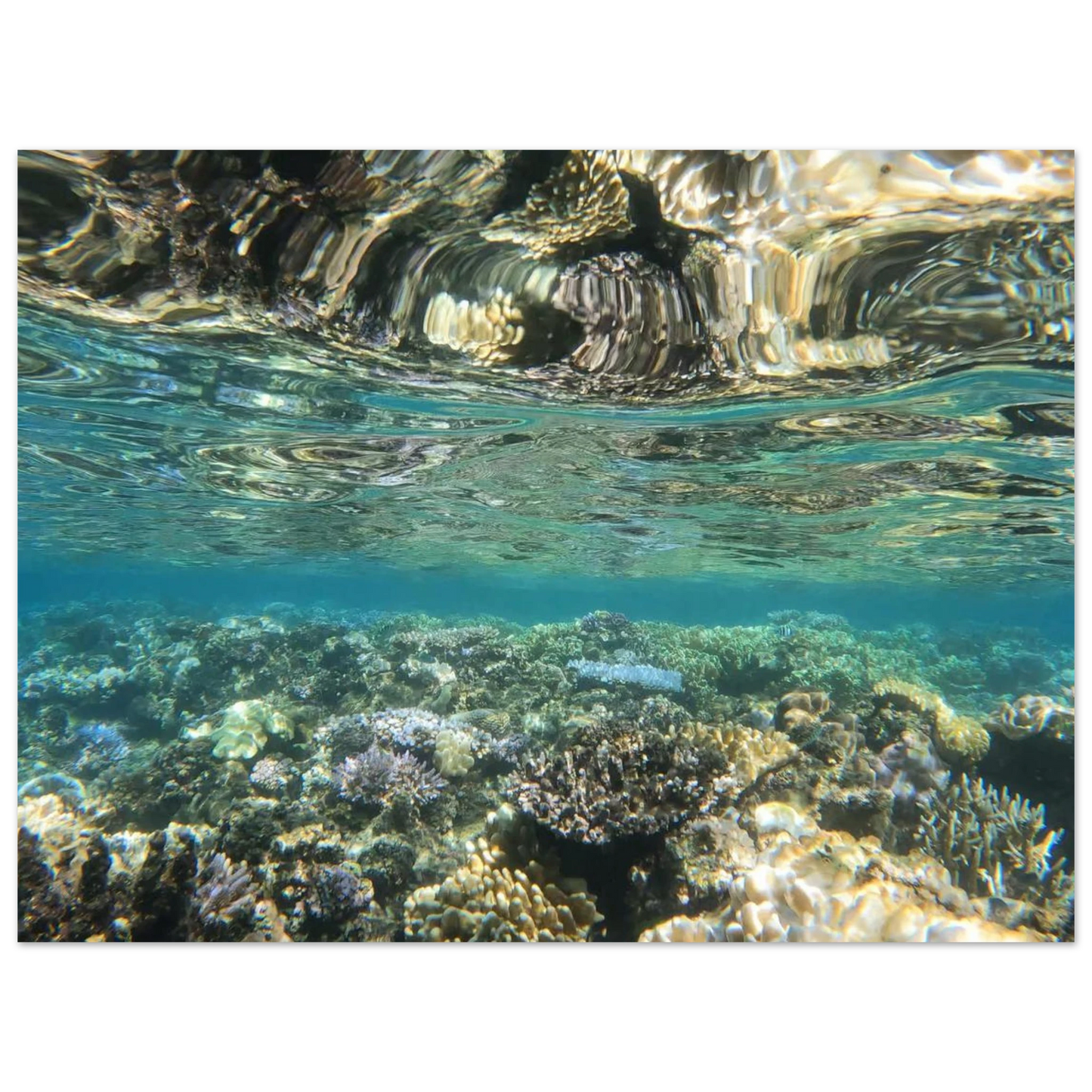 0477a0c9-6316-4f14-8eae-6f5778d4581f