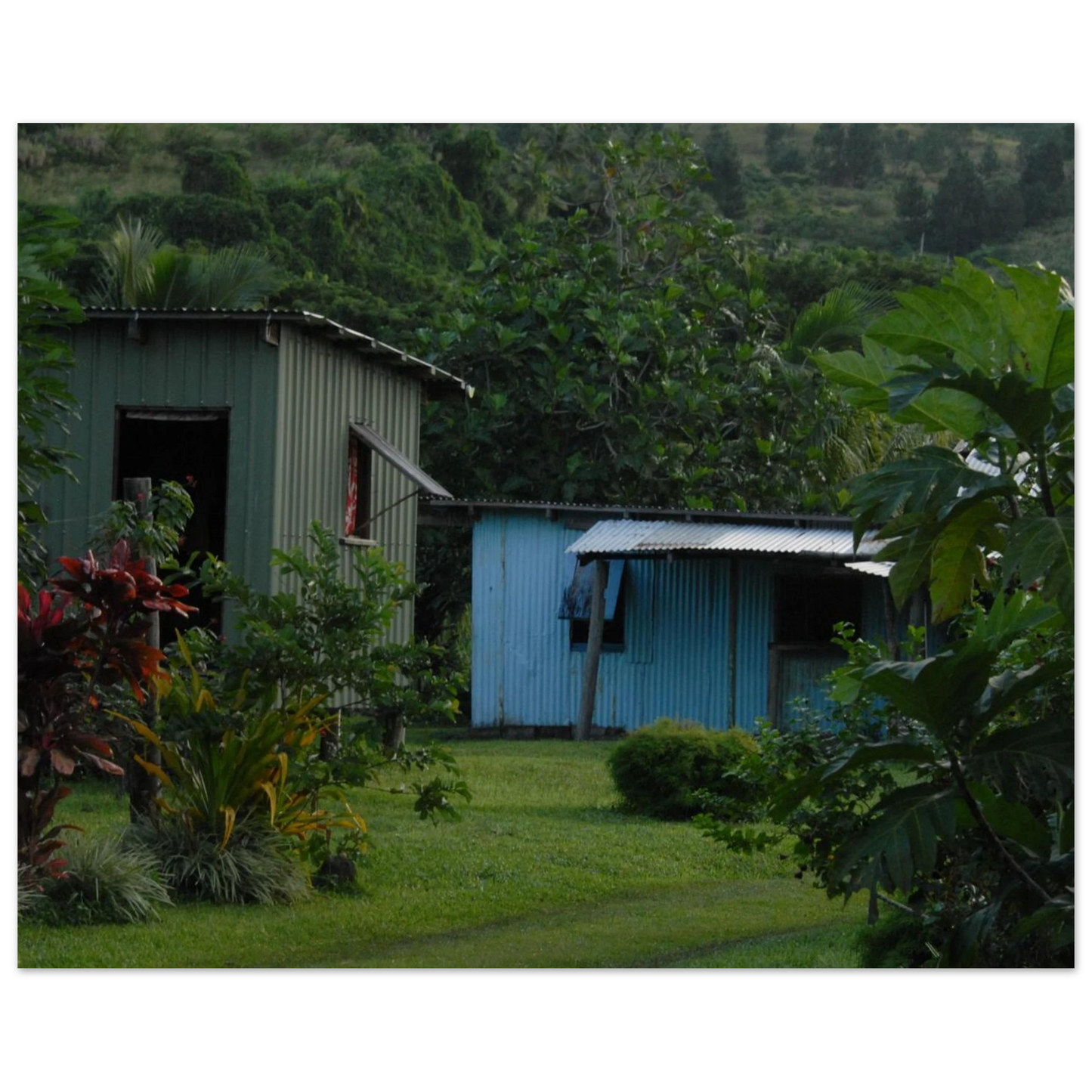 0ab289ad-d7f1-4562-956d-54fb5438f537