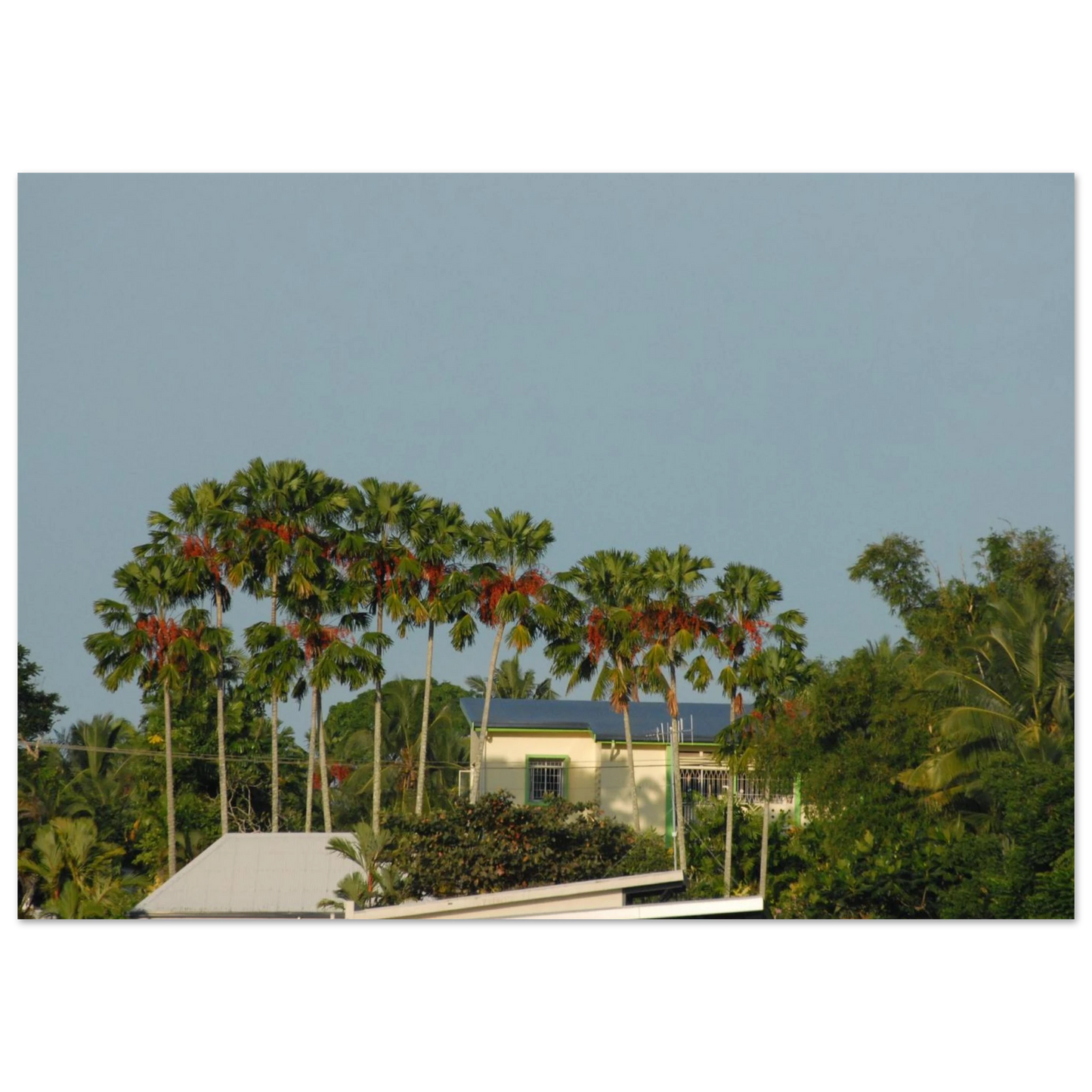 0d45afdc-f9c0-4838-96e3-ddd7c4254b20