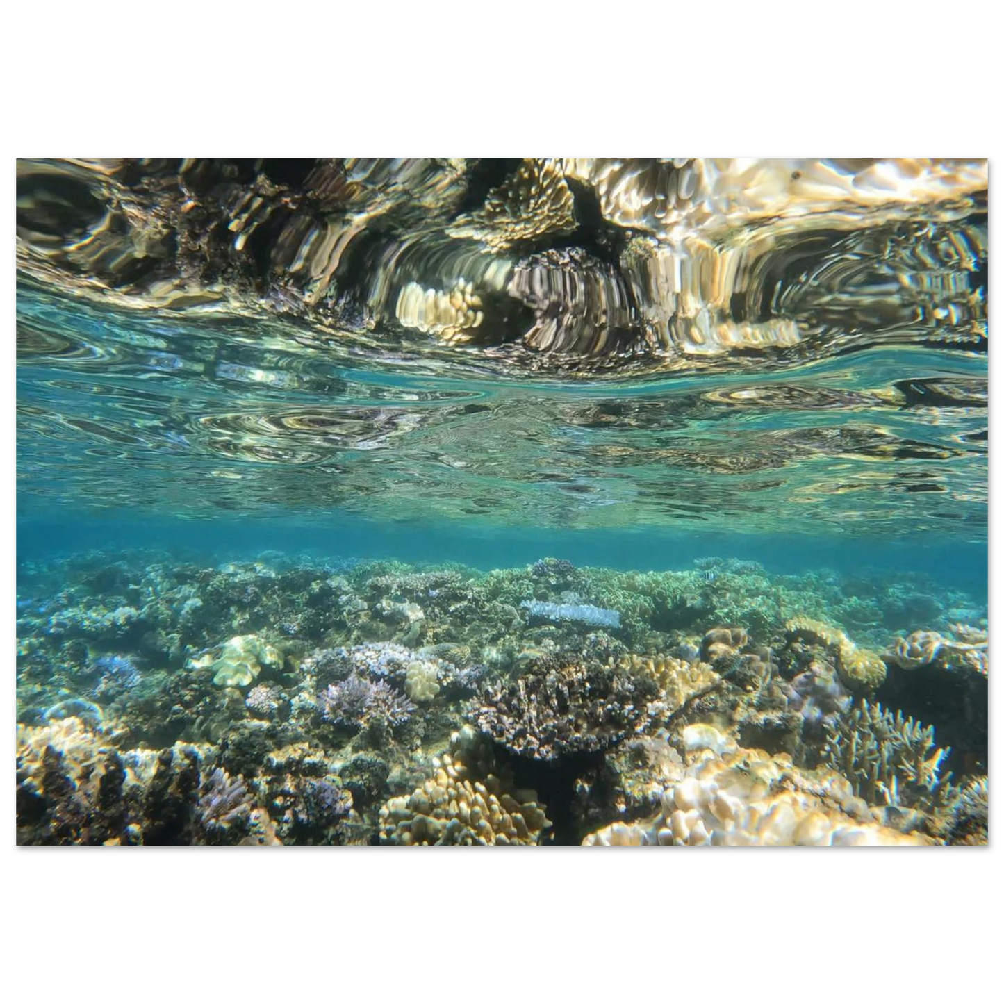 1a8219df-d762-470b-9a40-c4018b2b0c9c