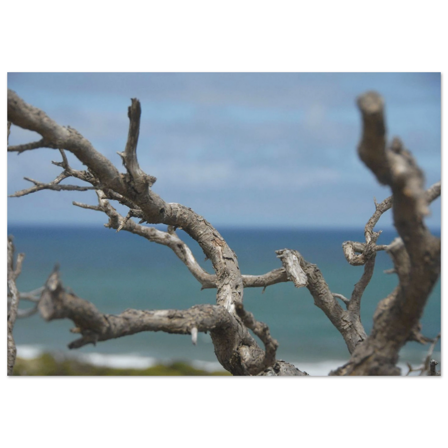 30c75182-7e70-487c-9360-fad36ddf4f07