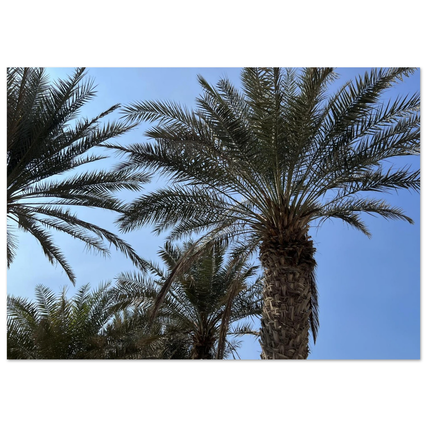 3cf2ffe5-7782-4a28-978a-6d1e159635b2