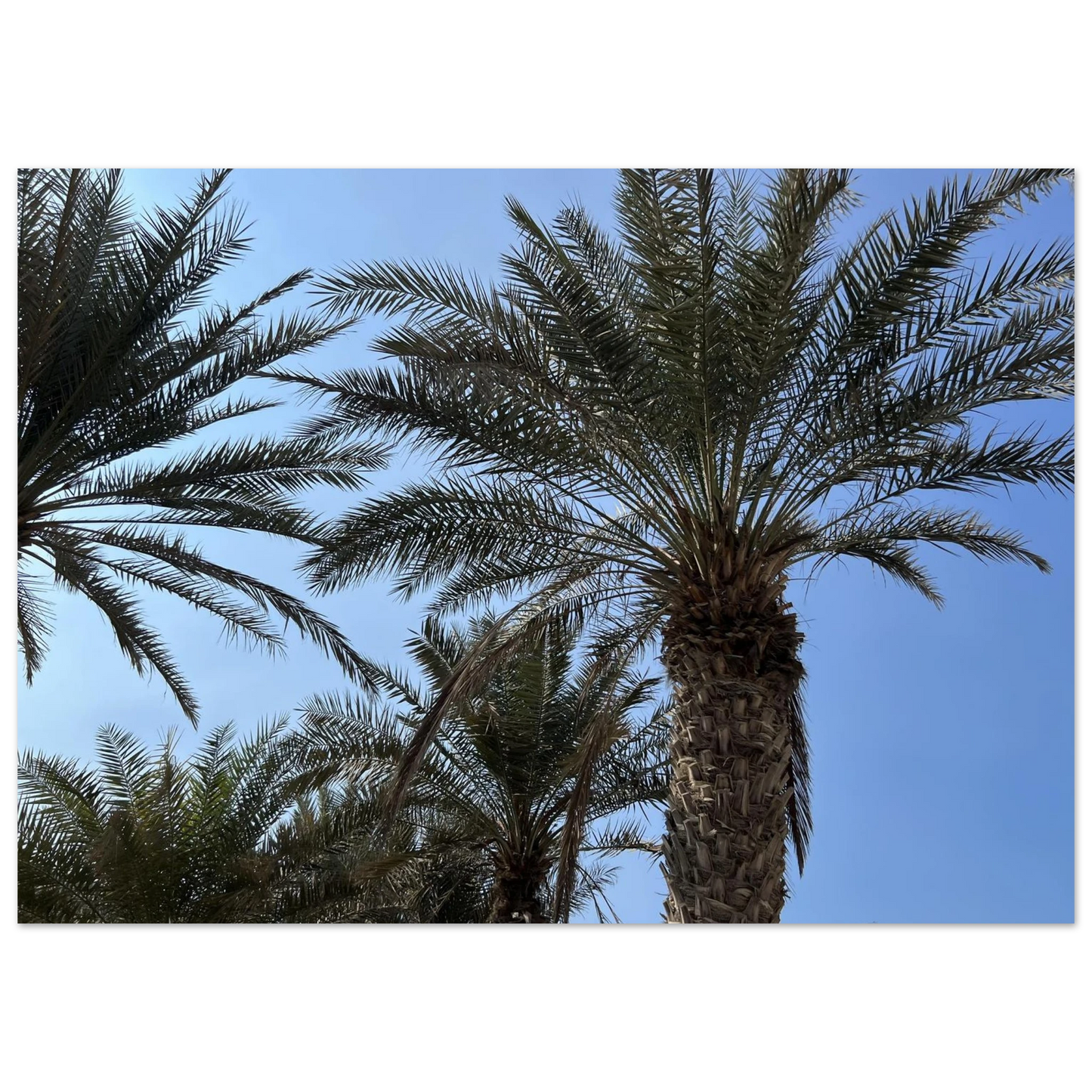 4d613779-78fd-4ffd-8323-bbeed0c74304