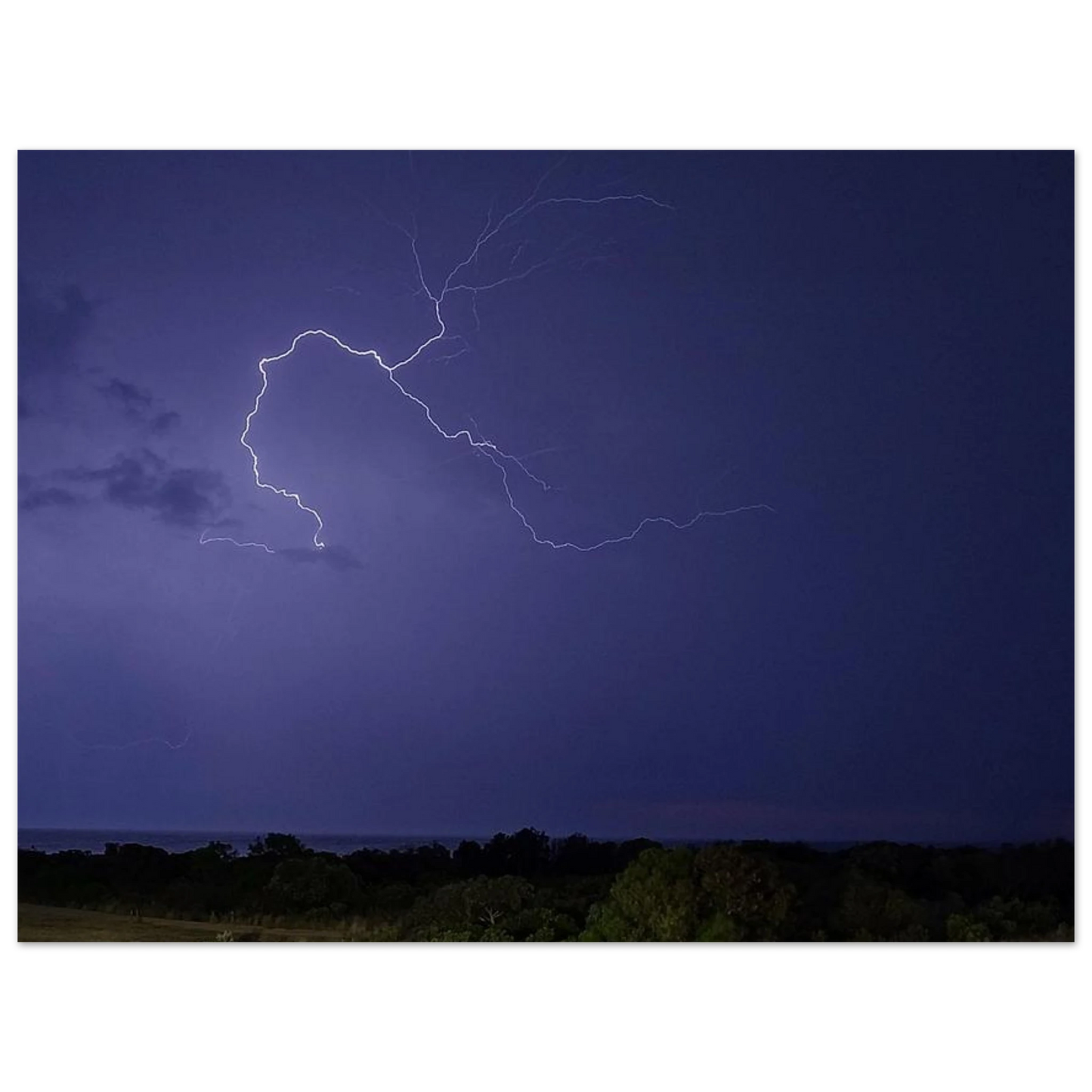 50812e81-df68-4f1b-a0df-132e902740ca