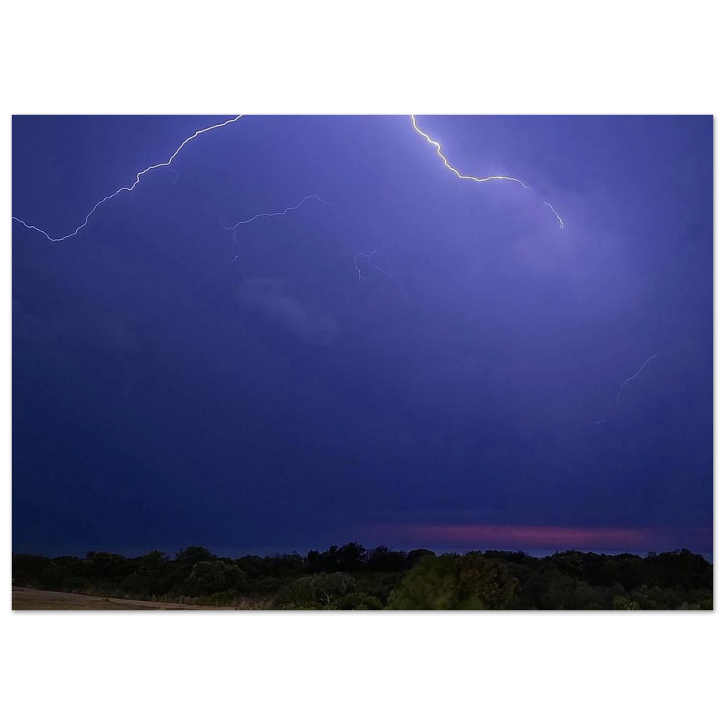 50d203d2-8094-495f-9bfa-f3ac07a9810b