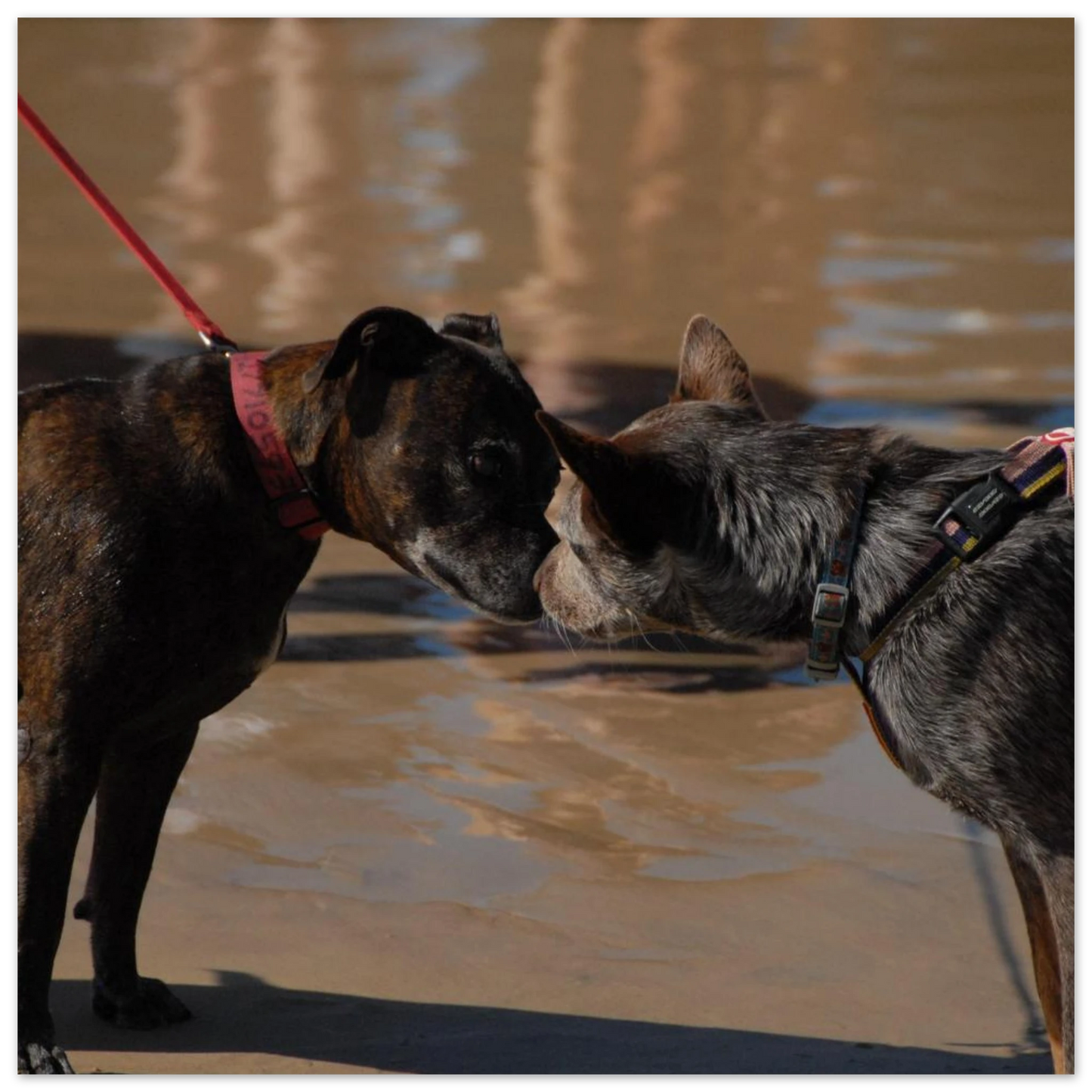 6e5bc288-b737-4237-b7d8-3573cbcaedea