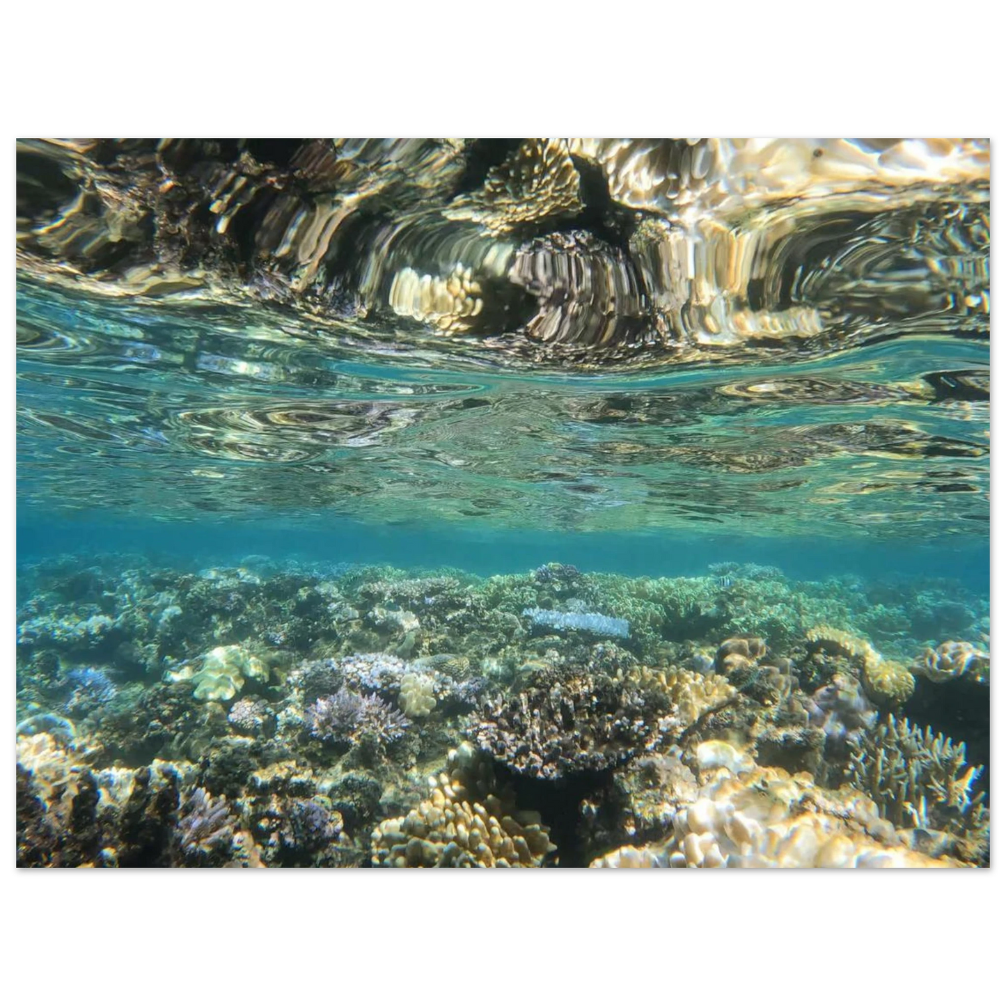 76f6a651-8806-4f0c-b3e5-ed4a6ec454f3
