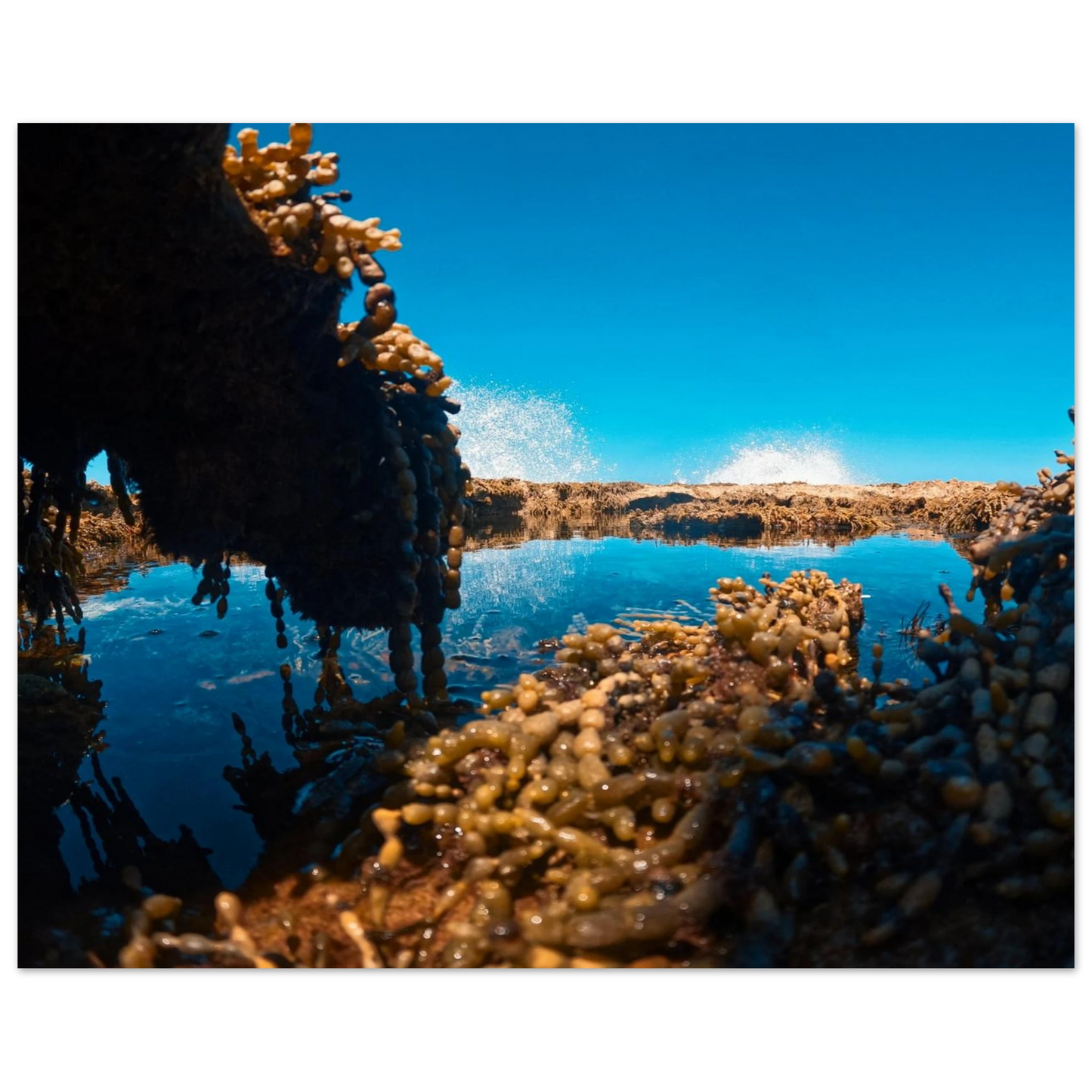 a0b11385-cf47-43d0-af92-97395234c04f