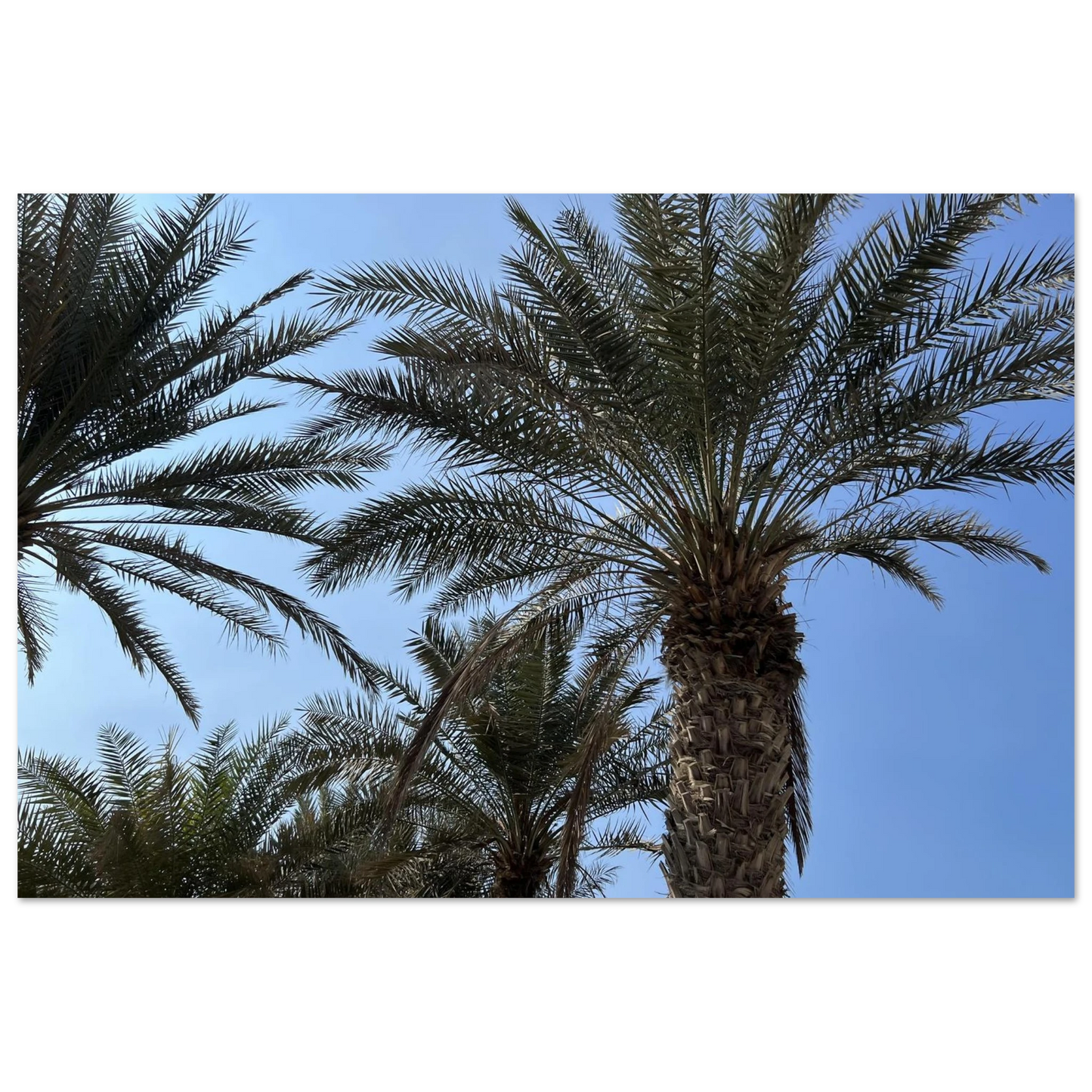 a7f1247b-8190-4679-b852-150dc0b9fad6
