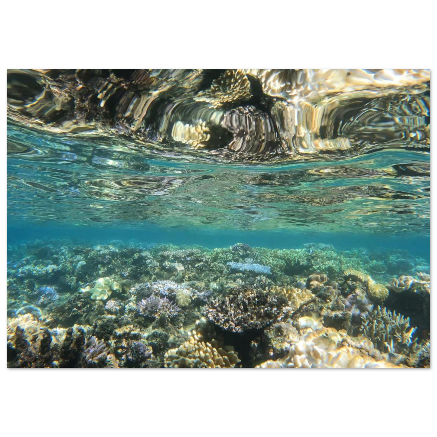 c4394498-33d1-40f1-ae20-4b353b177f06