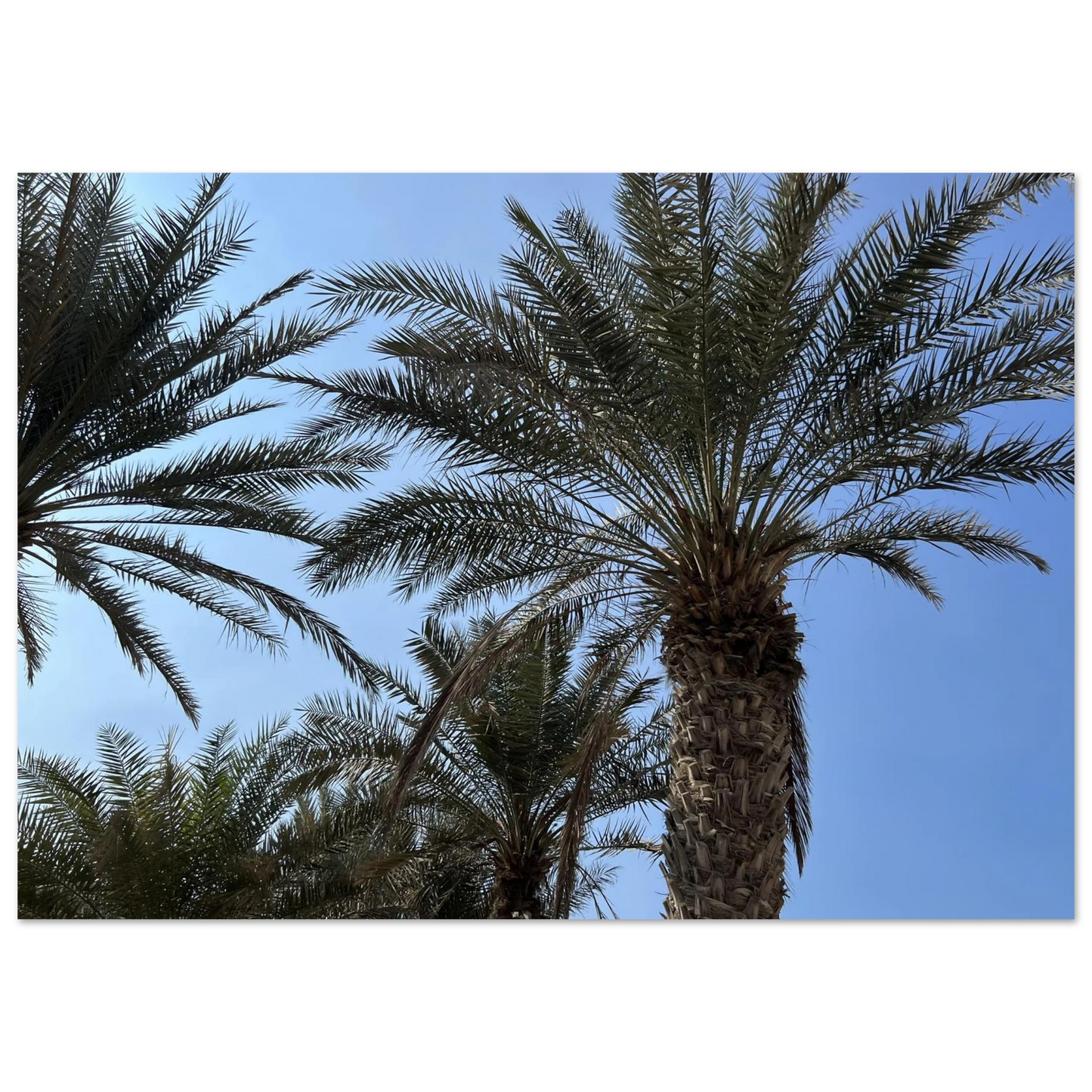 c513bd0a-d6dd-4aa7-9bf0-f707c66b0677