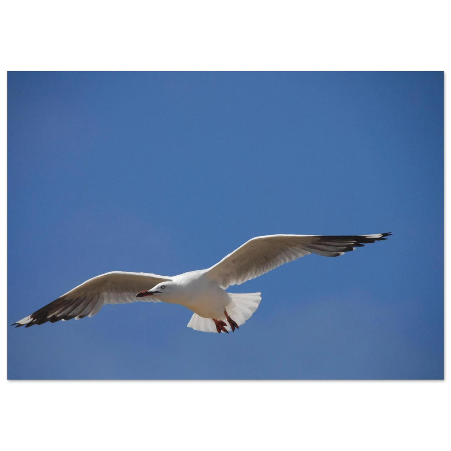 c70512d8-bf6d-421f-8f3d-c8231b23b7c4