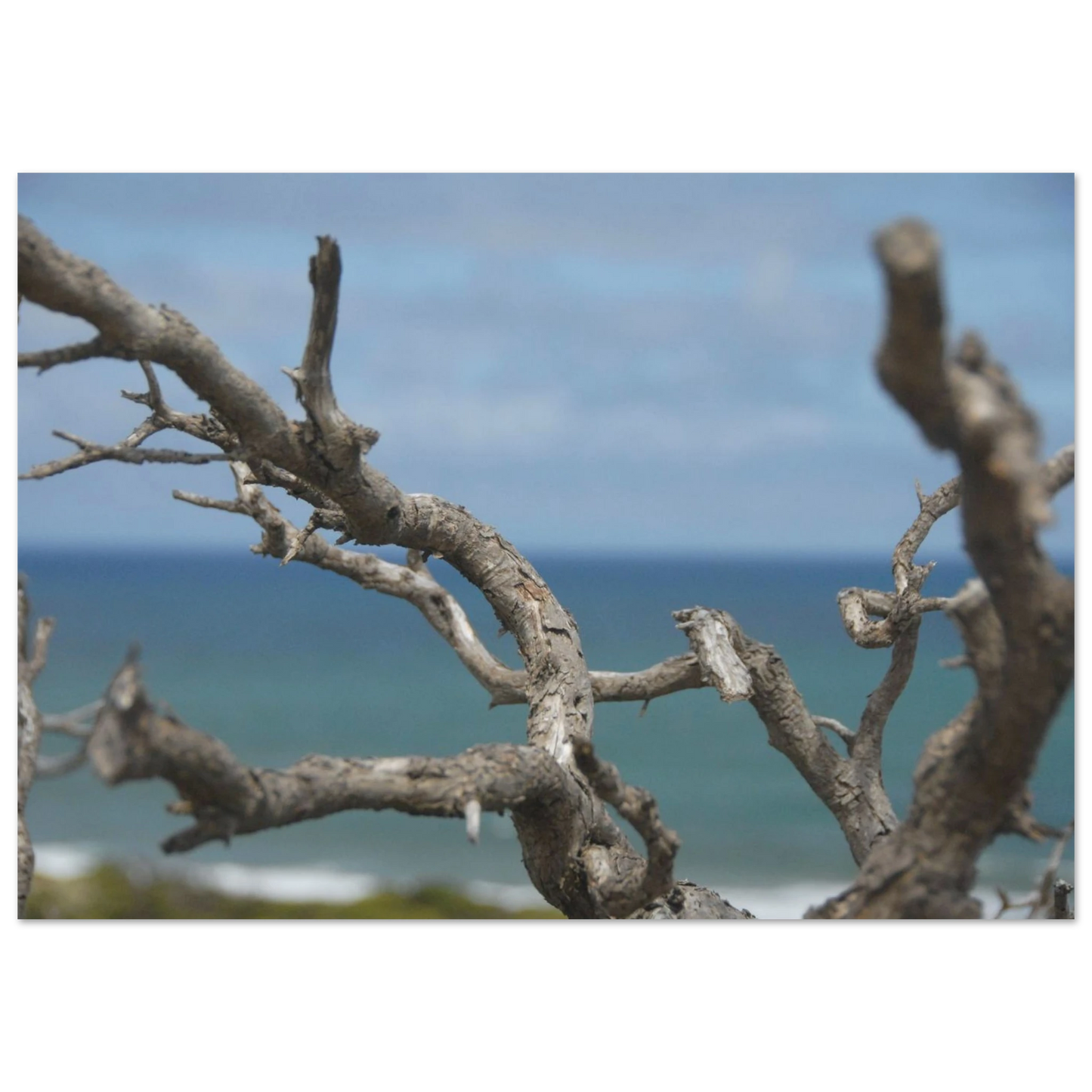 d0722796-ccff-4a39-acee-48f5d3c600c4