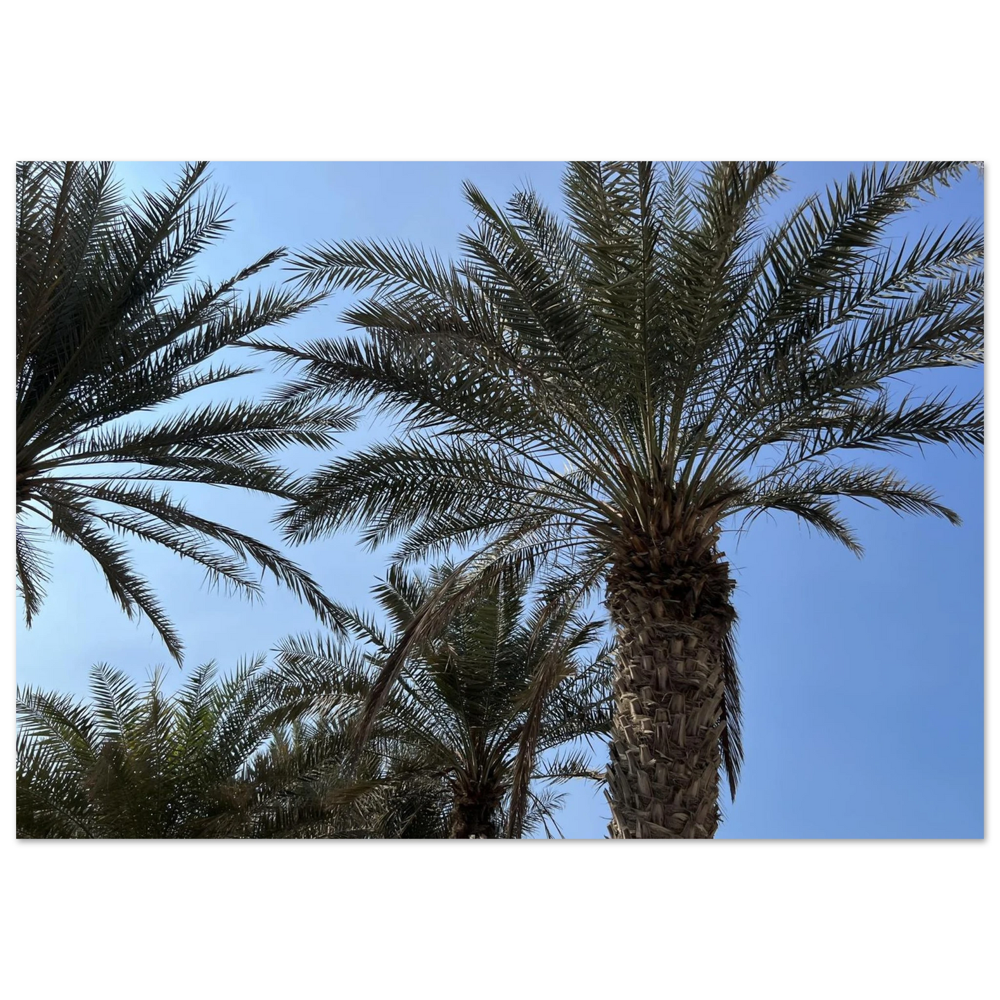 d2340ebe-b7a3-4b00-bcb2-7238c0463ce5
