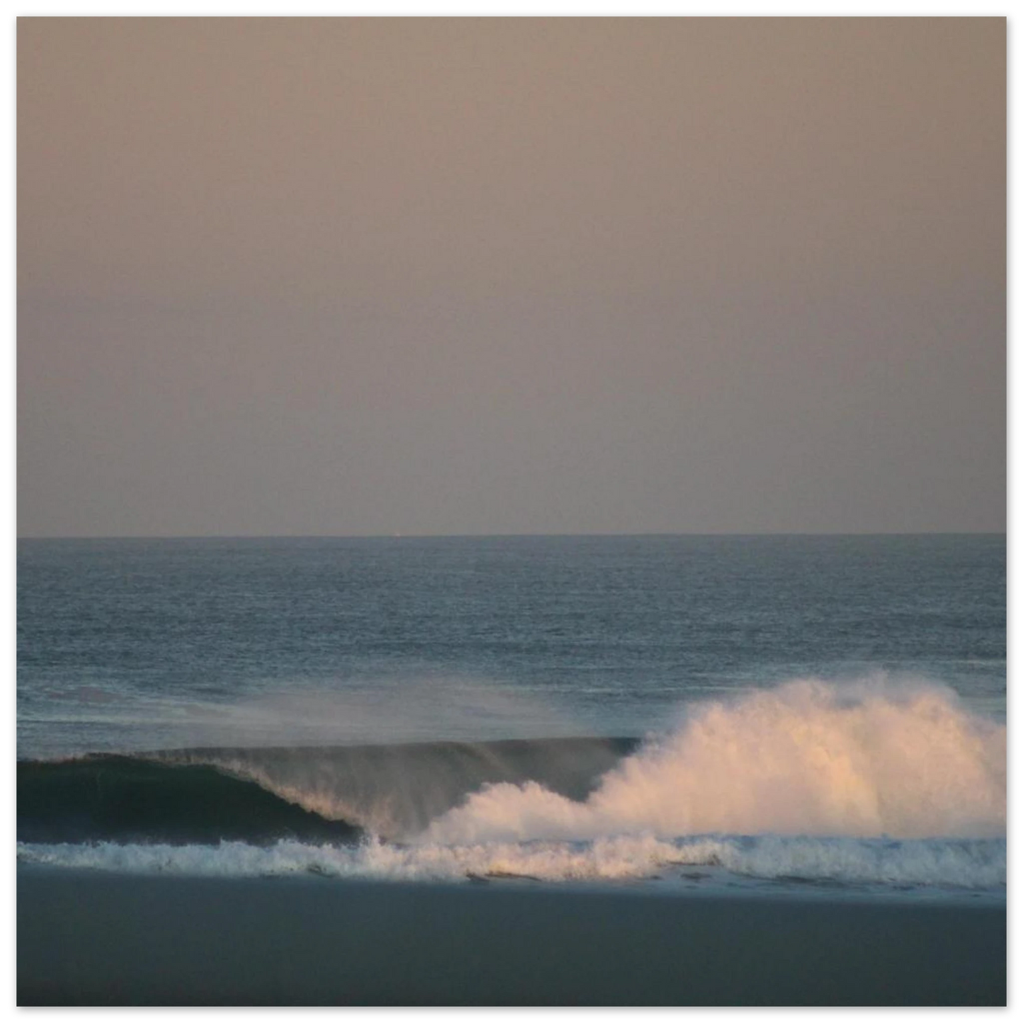 d2b19e77-bf52-4f06-83a1-22d2bf8d4917