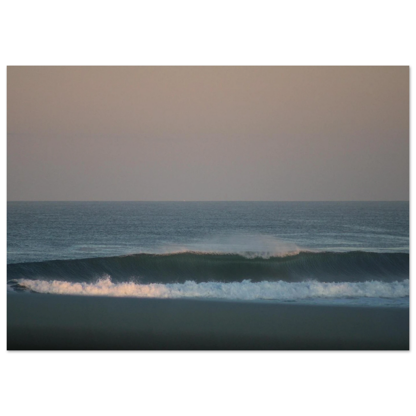d317dc67-9f15-4f76-8c56-bf88958fb5ed