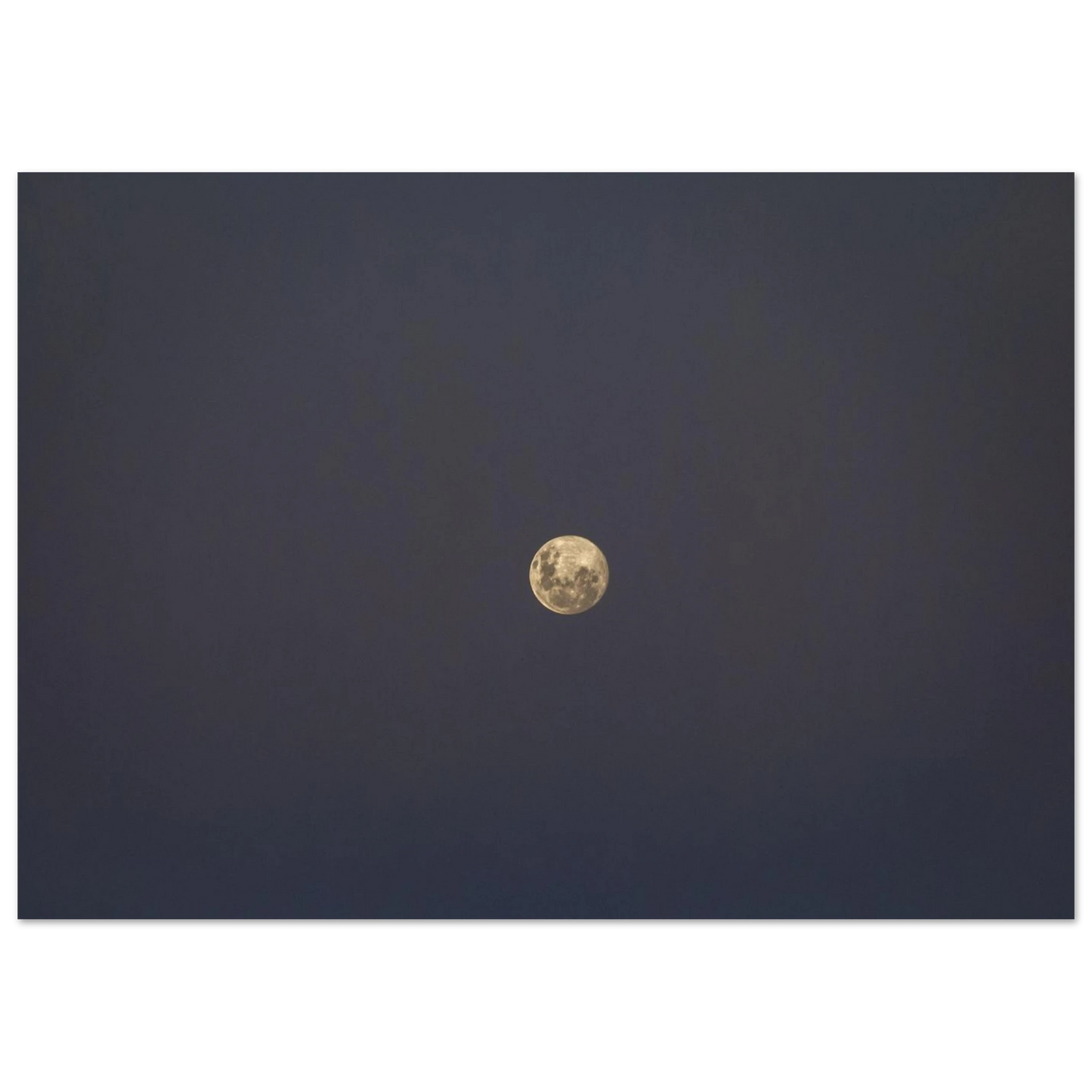 d90d1313-1800-4f0e-b23a-de8737529ffc
