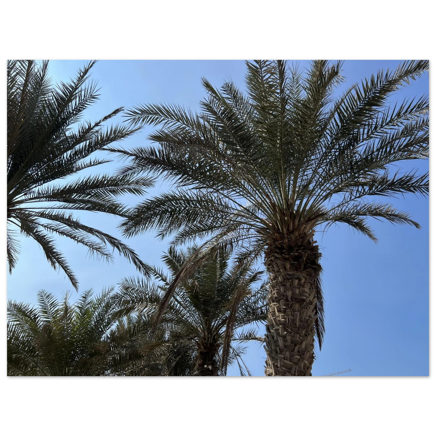 e34ff1c4-7b82-4a18-9ecc-01a870560309