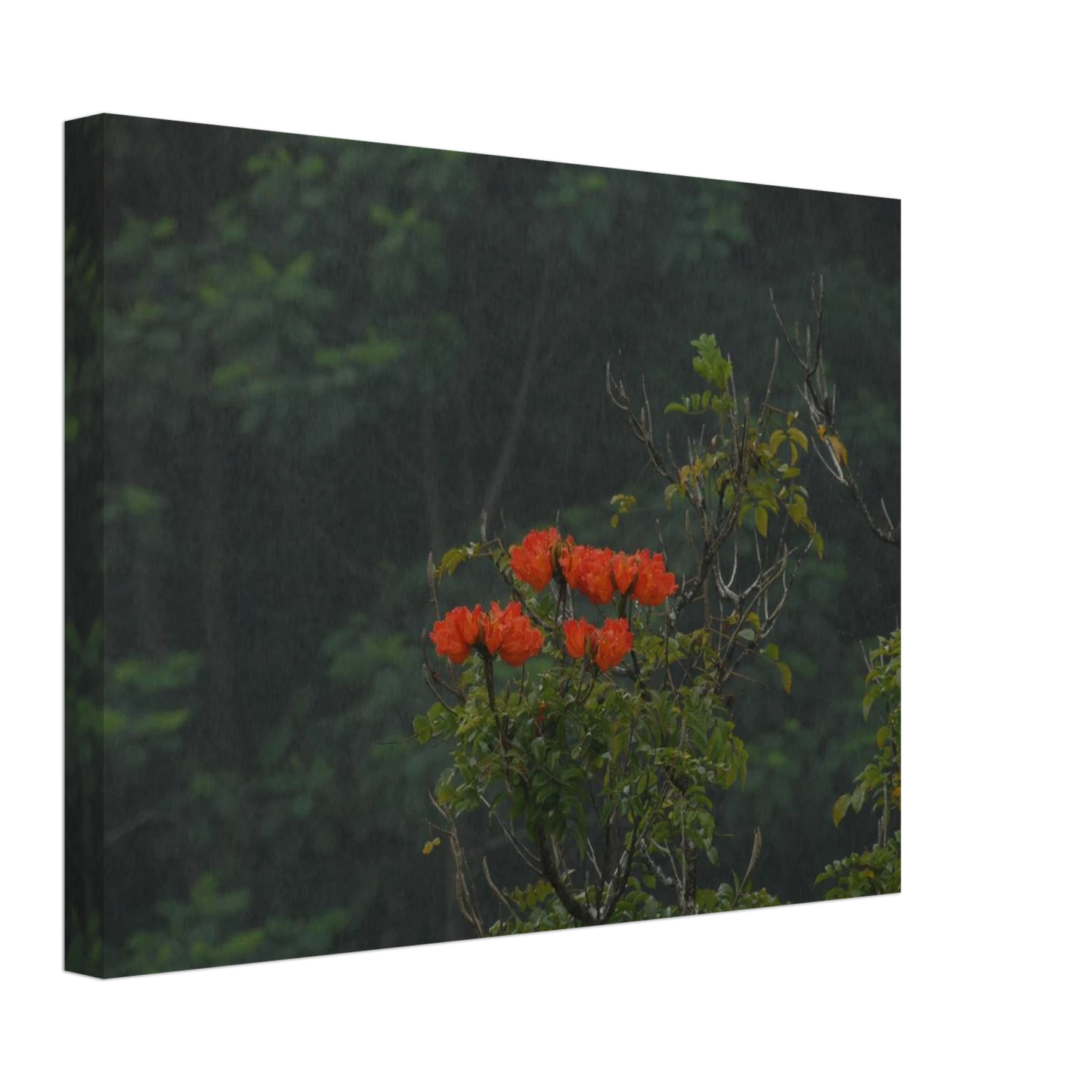 f40dda08-f097-4976-a1a1-6376c0251a89
