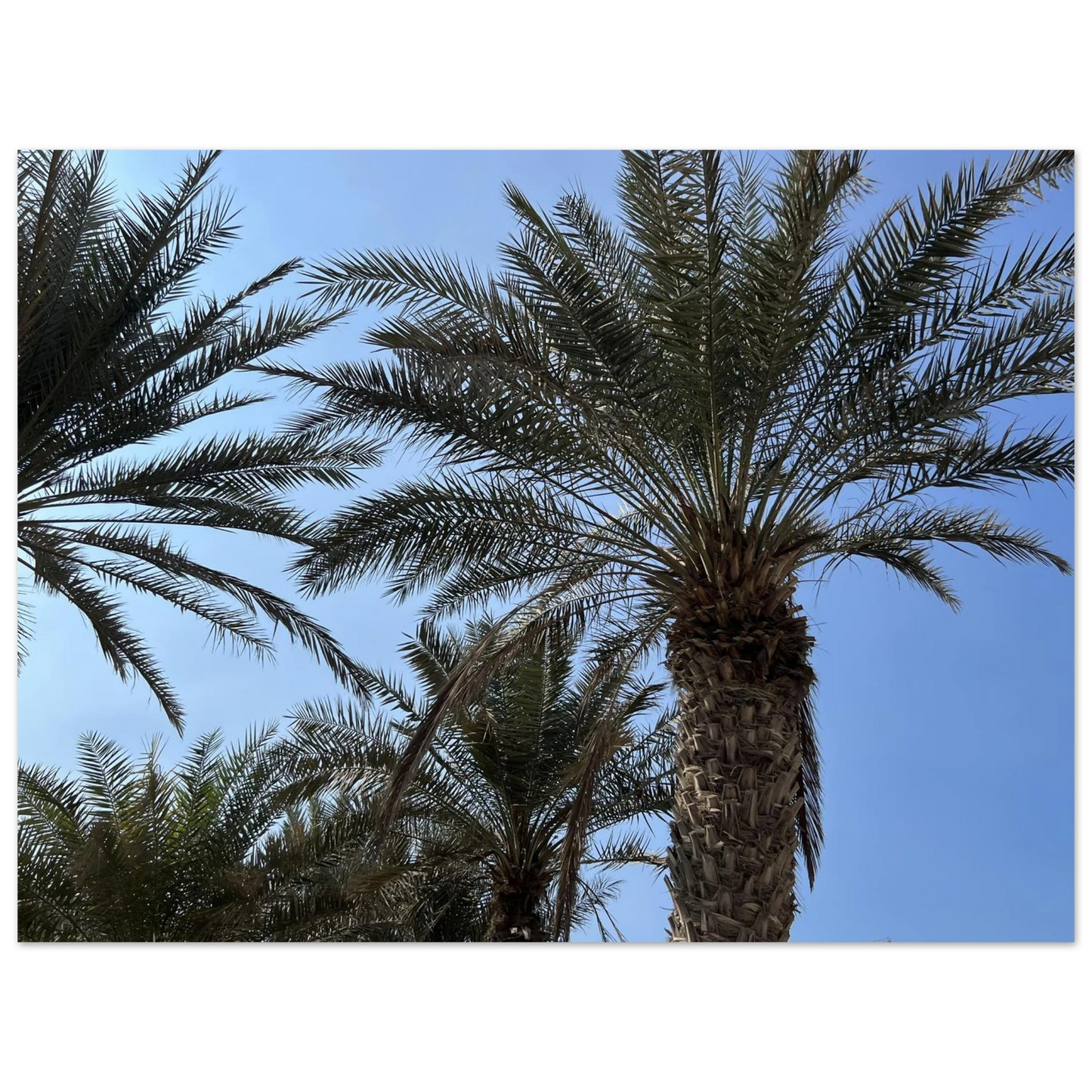 f8da8aa2-40b8-4f27-b245-e5fee05f7fa6