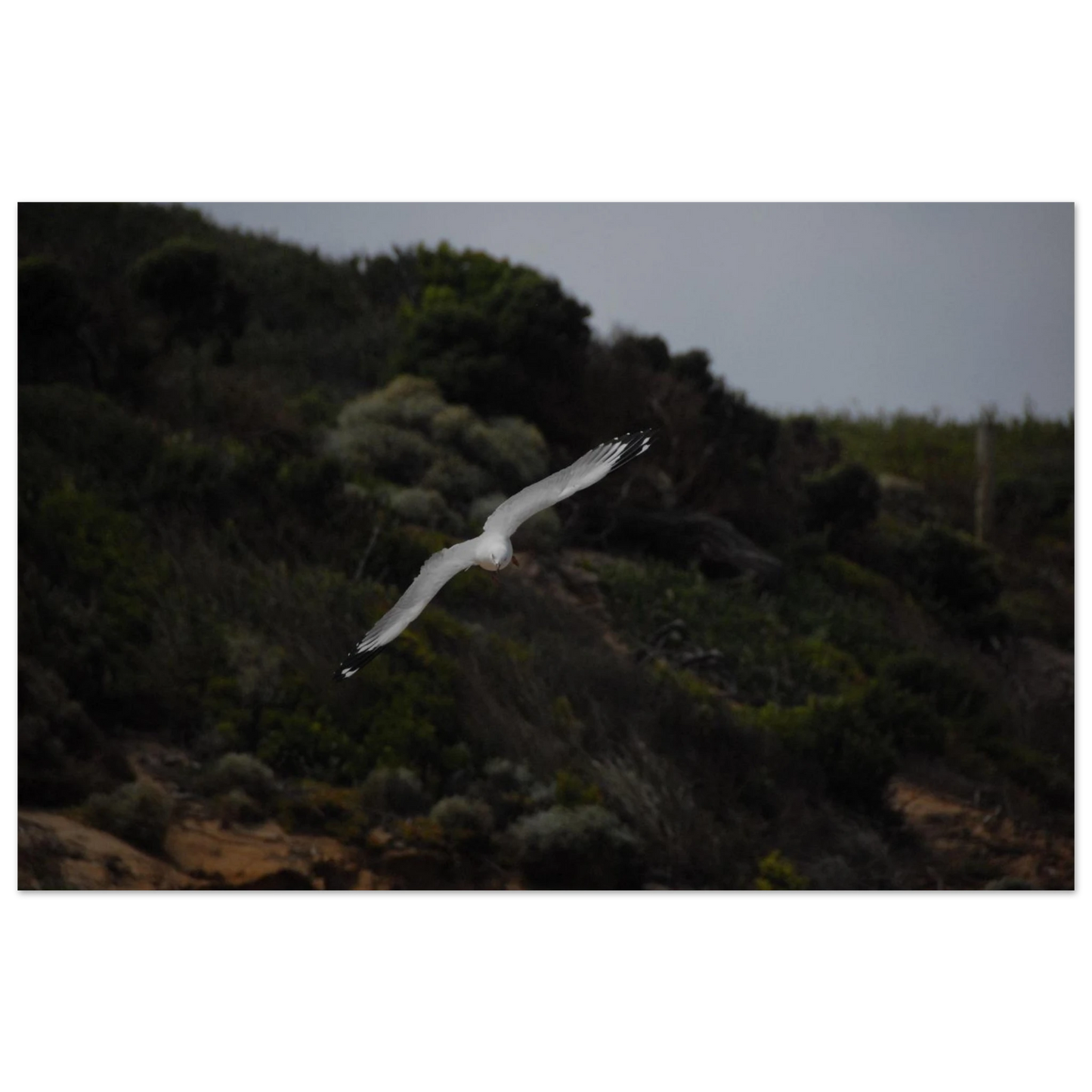 ff803654-6075-49d6-aea2-58d3f3e9d011