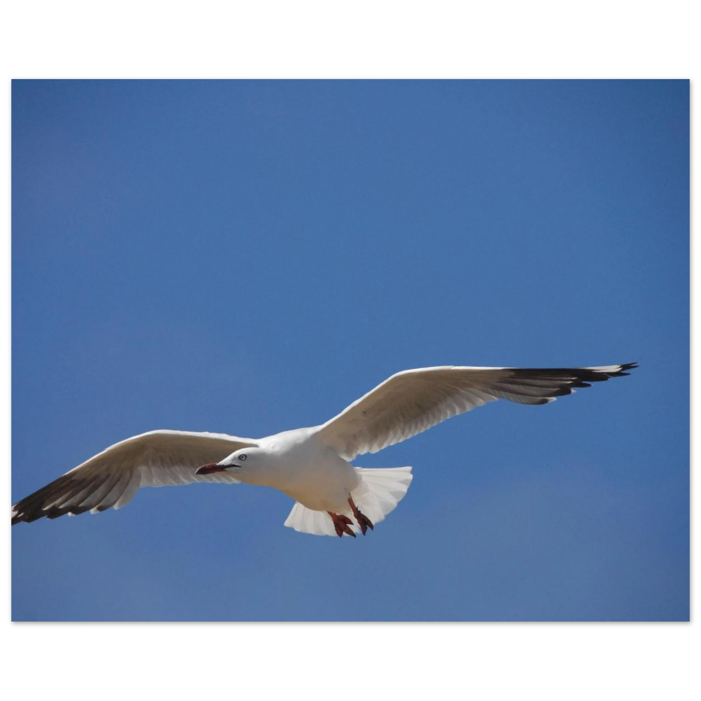 03c681ff-19f0-4e70-b00b-abab60387726