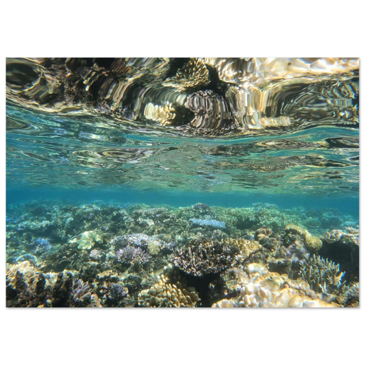 1a8219df-d762-470b-9a40-c4018b2b0c9c
