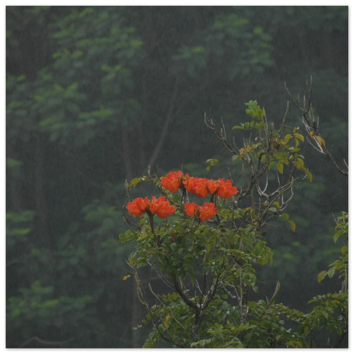 1fa97969-e2d0-4ca6-b900-214a7e7326e1