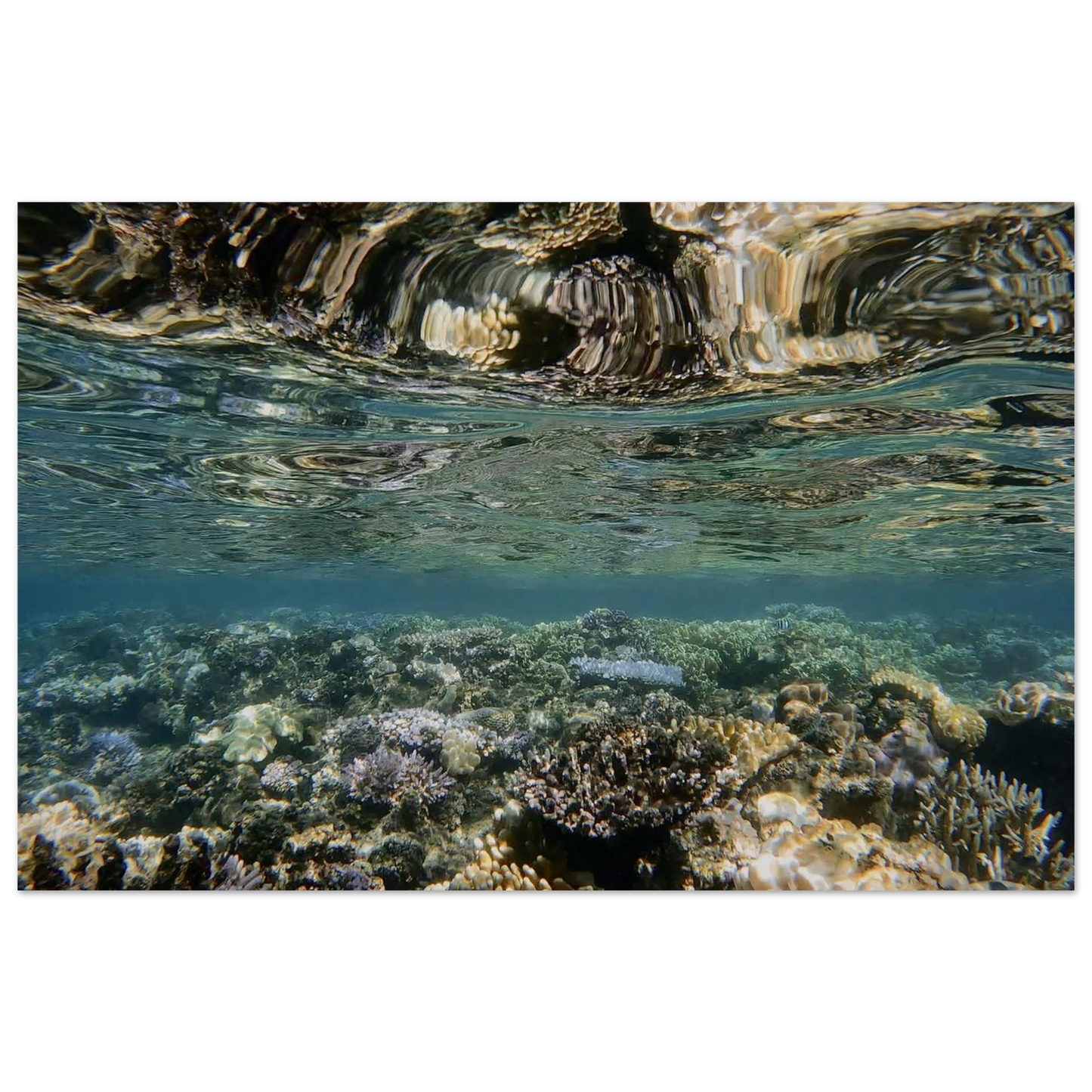 2654ebb6-e123-42c7-9c60-0ad37745c9f9