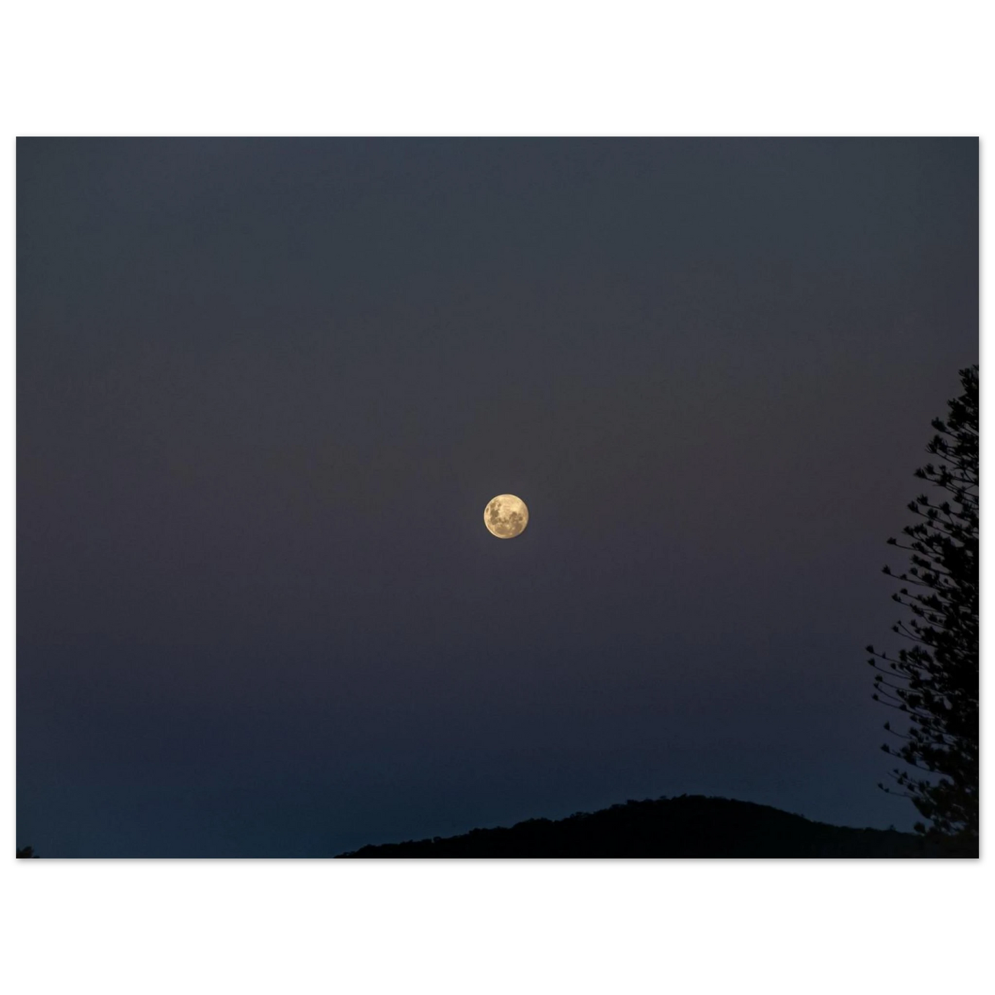 2874a249-6c57-4bca-85b7-121969289113