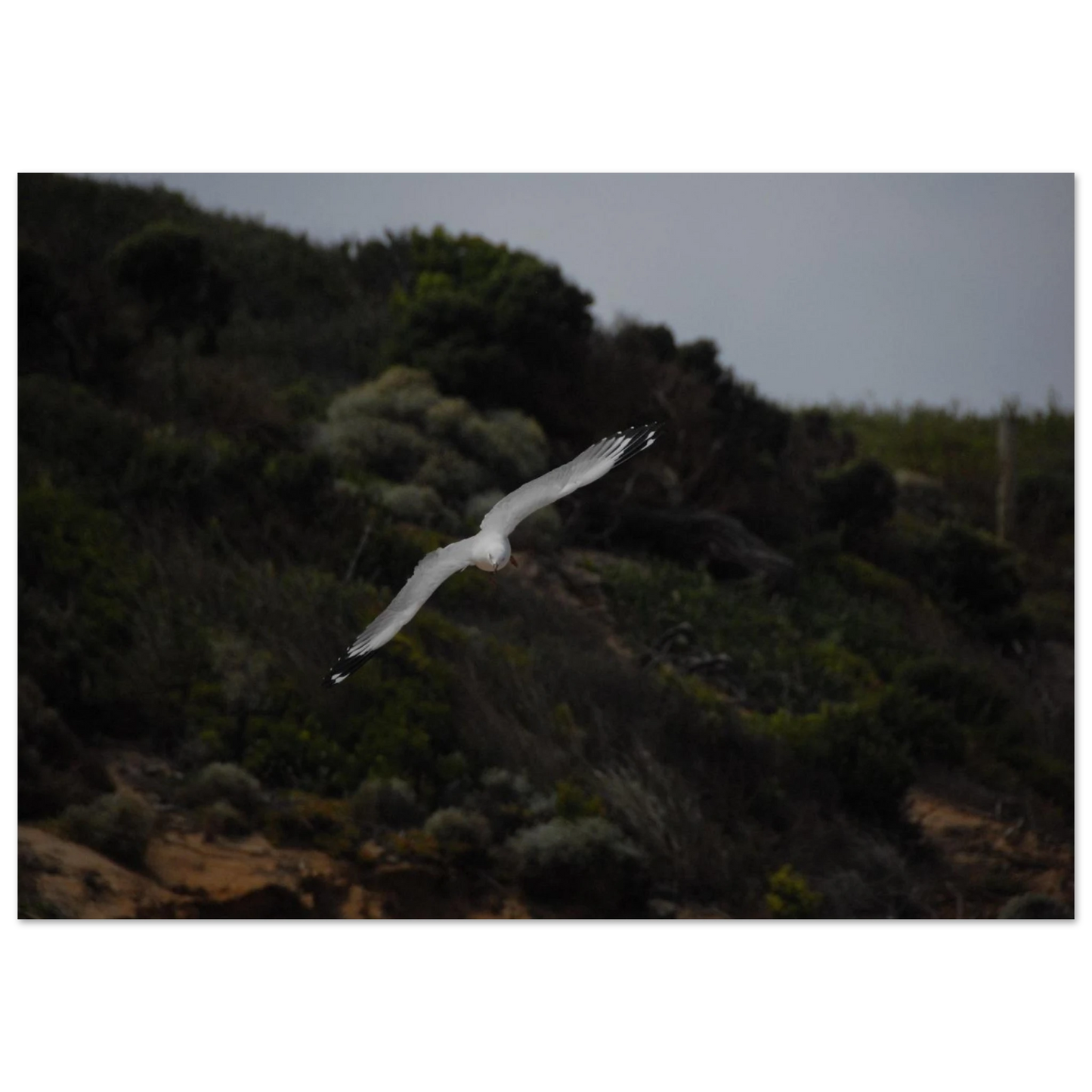 2b008617-6197-4a7e-8581-b3982e345d30