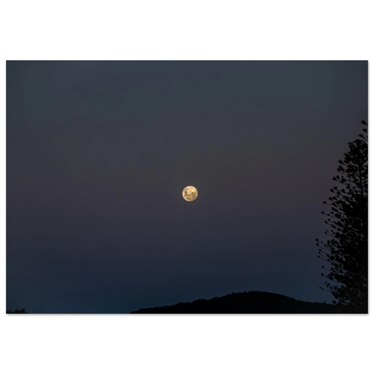 32f2173c-c879-498f-9ab0-ec7da5927a24