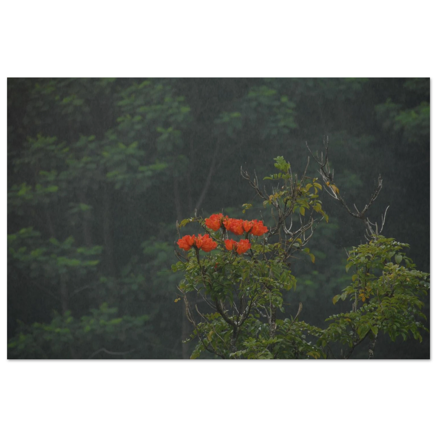 53c3fe98-f7e9-4a0a-a5f0-be379d3181c4