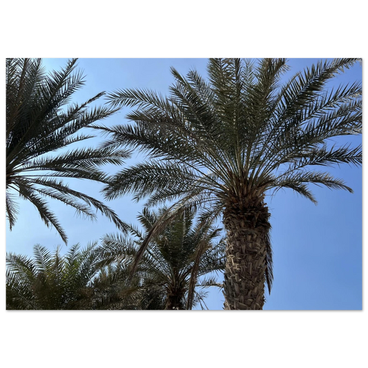 5be06894-ba64-4b5c-8401-1e4cb28886f3