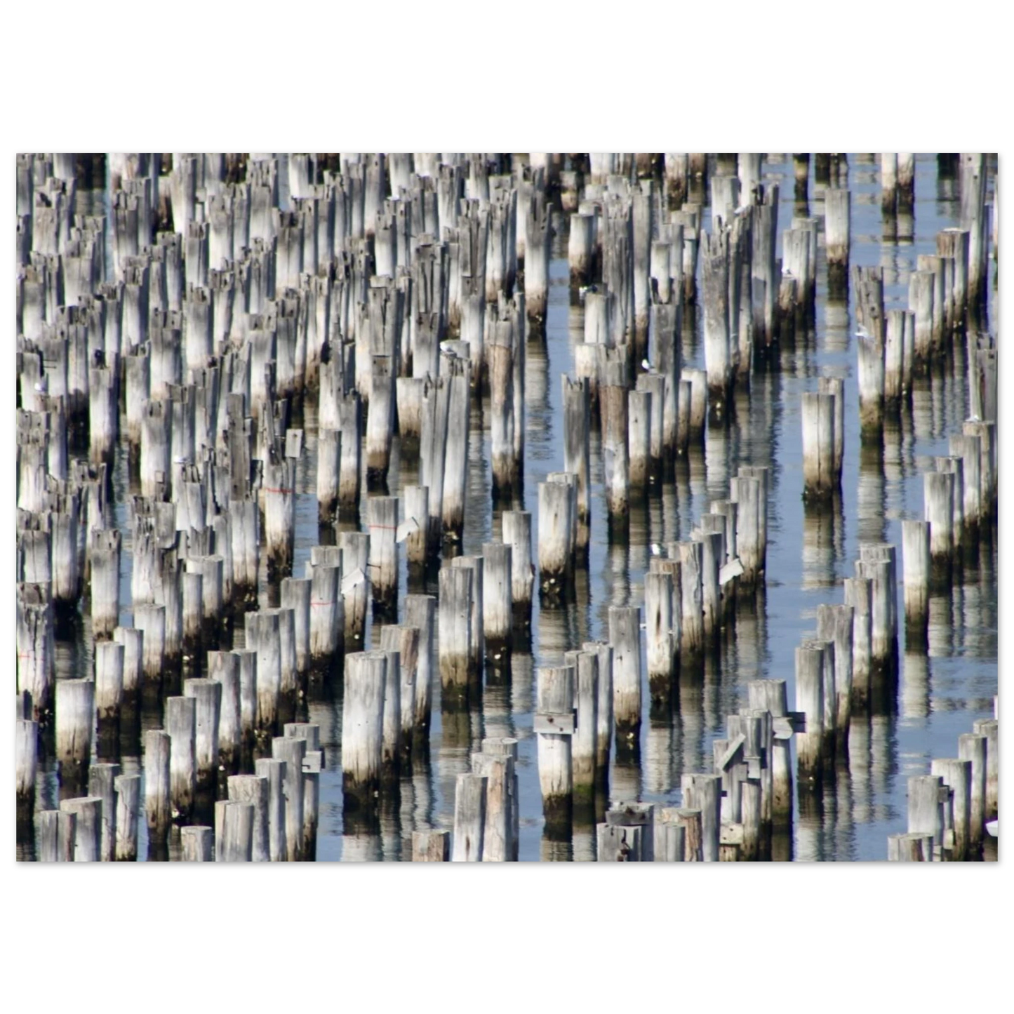5f4c9db2-55fc-4727-9a58-1012c02b713a