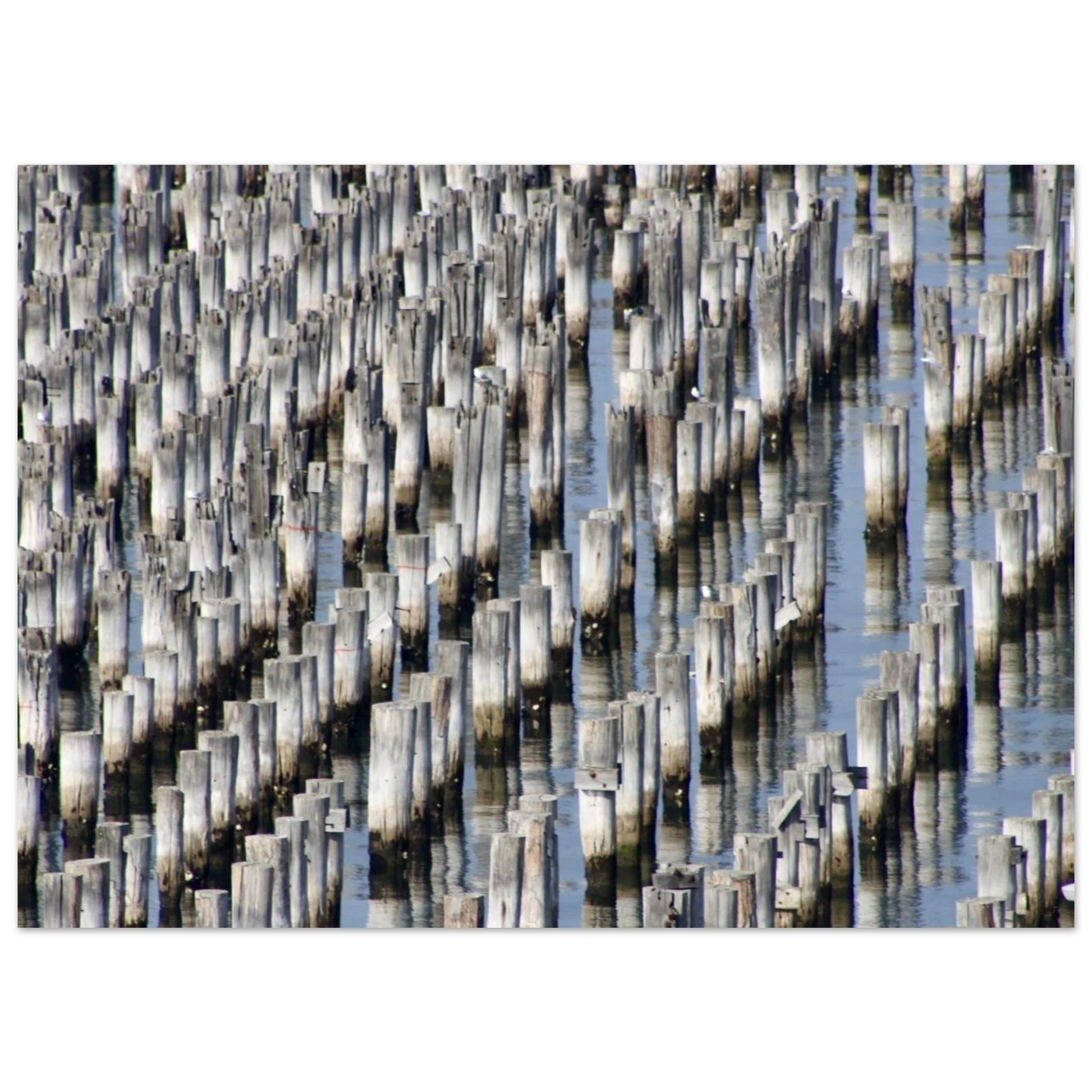 5f4c9db2-55fc-4727-9a58-1012c02b713a