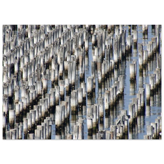 5f4c9db2-55fc-4727-9a58-1012c02b713a