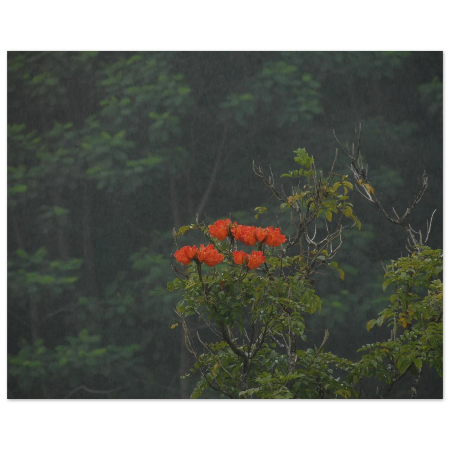 7d2c2d7e-907f-4943-abc8-1d5658911956