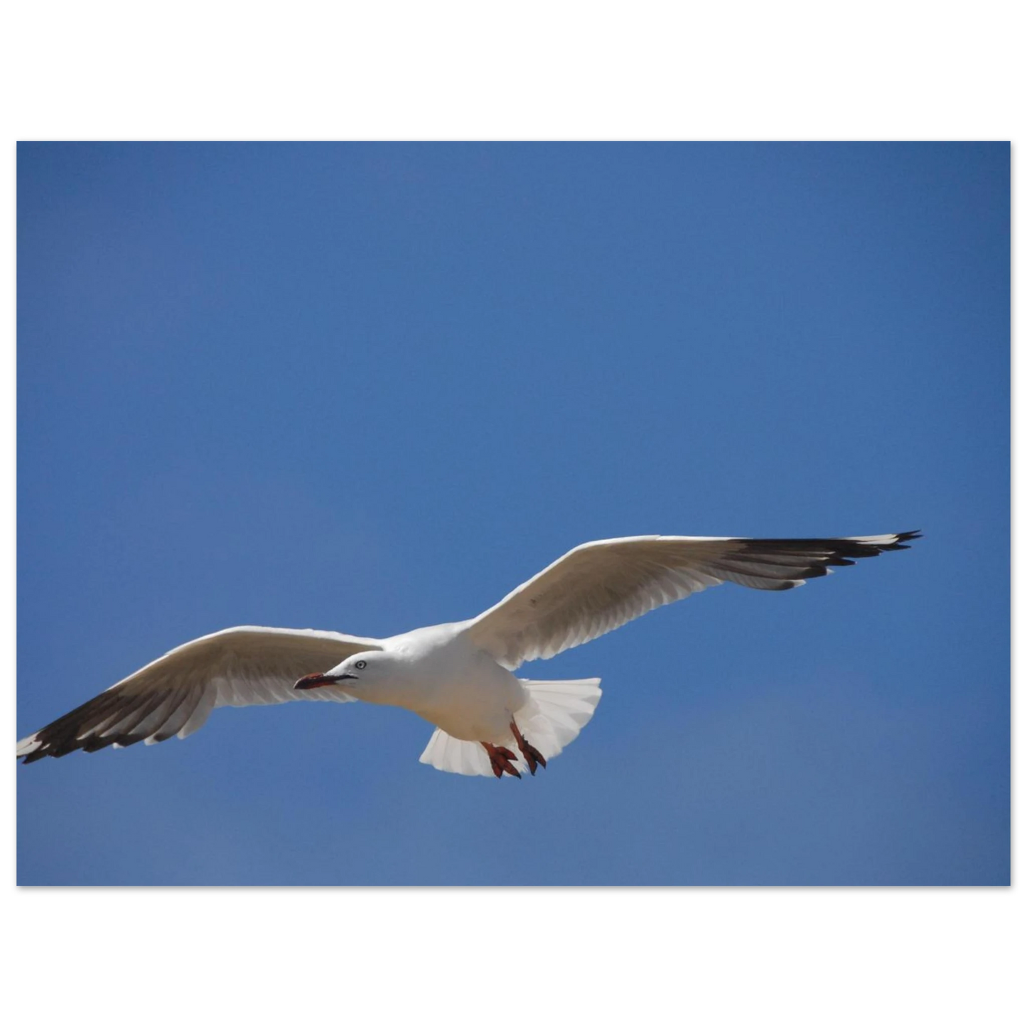 8182d21e-b514-46c6-882a-92811cc86458