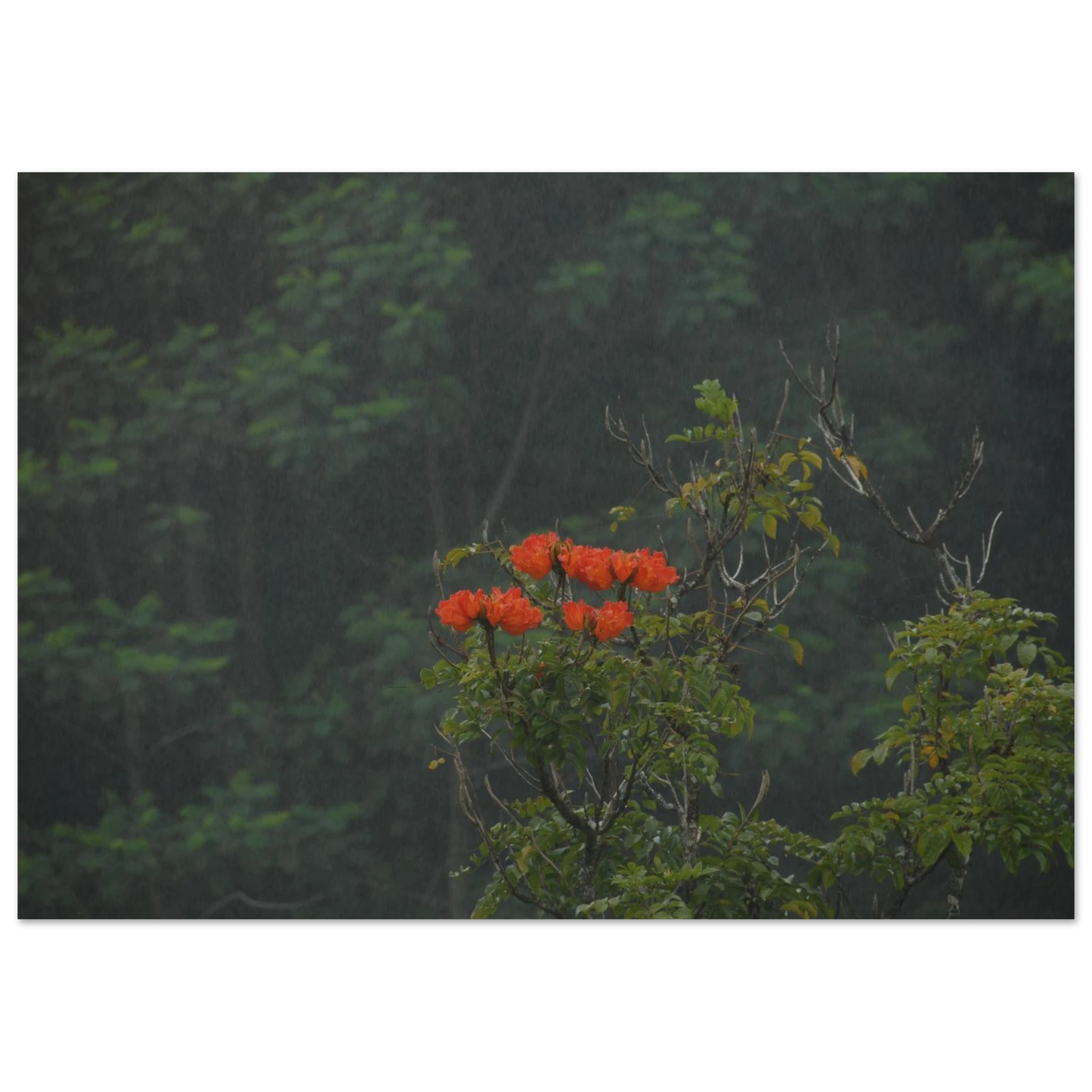 8b011868-248f-4df4-9463-d30a0da1020f
