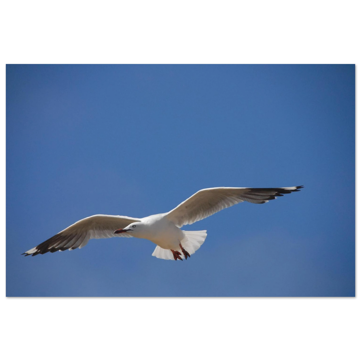 a94729b5-02e8-4efa-b61a-98fdbd88e6f3