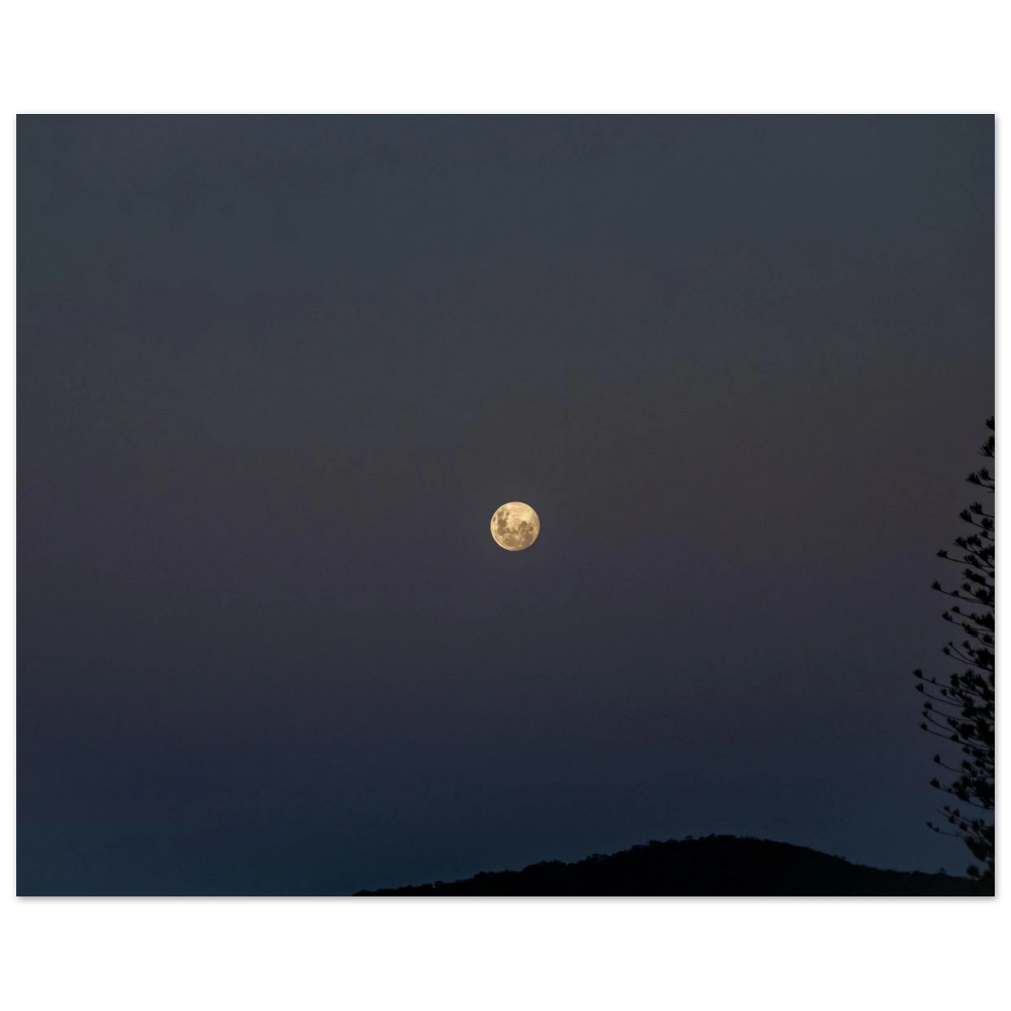 b2114d72-f27c-4991-8ced-c0781ad41e71
