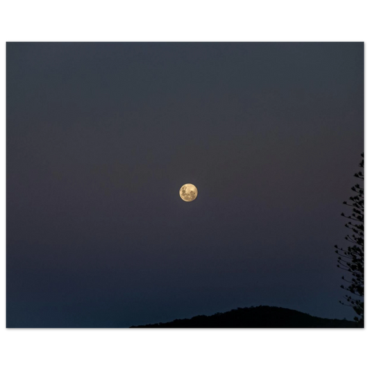 b2114d72-f27c-4991-8ced-c0781ad41e71