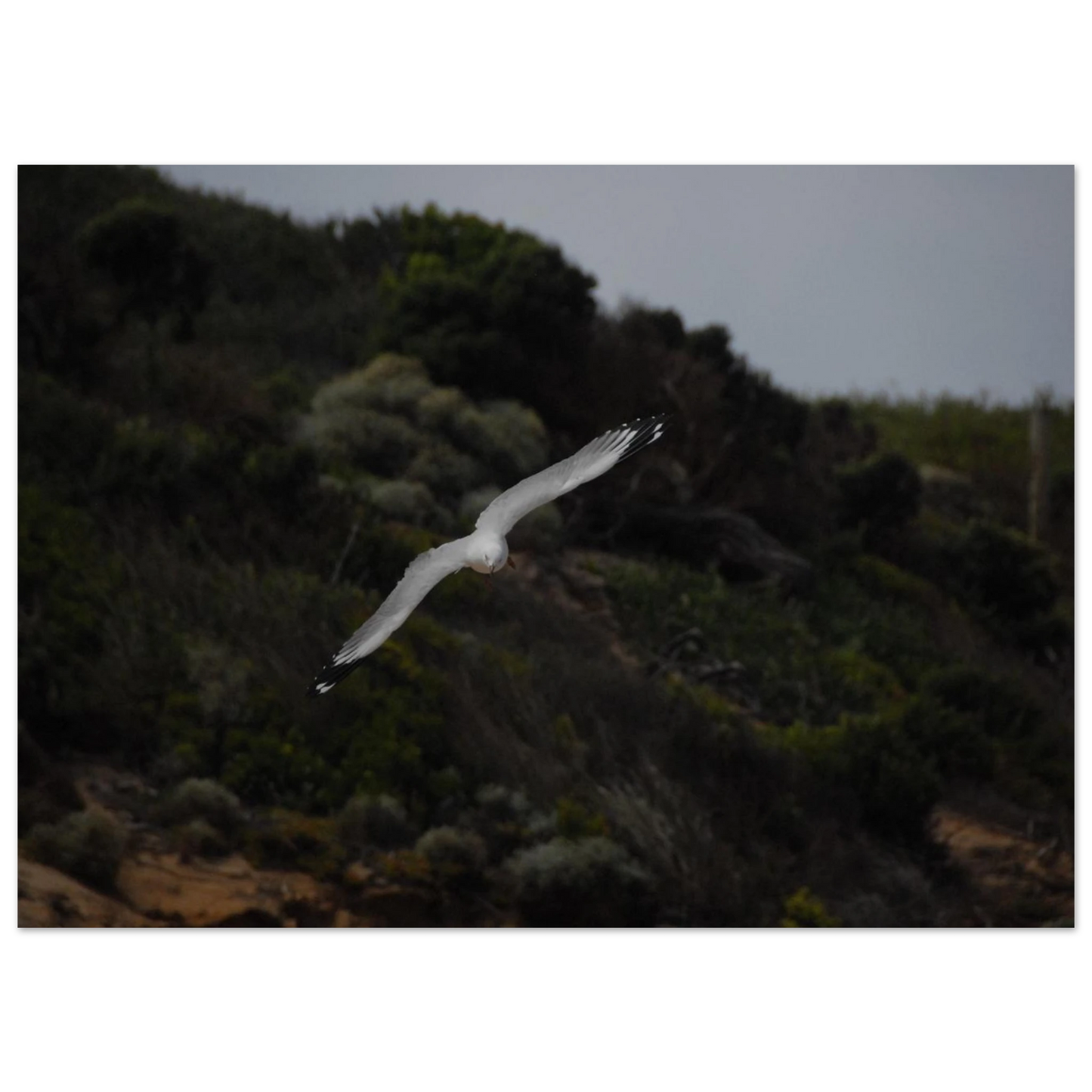 b2118d39-f670-486f-b9b5-9b1325fa0391