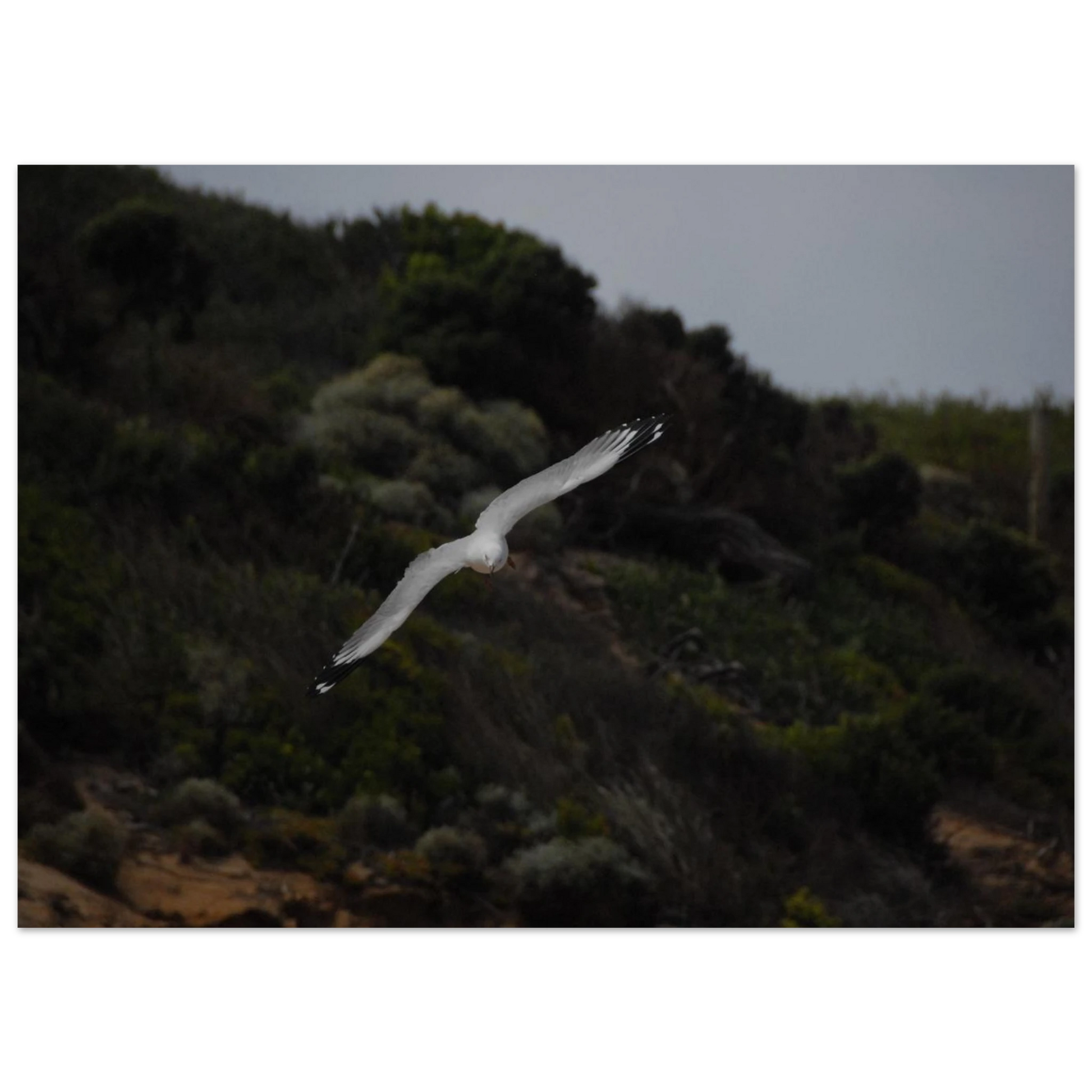 b2118d39-f670-486f-b9b5-9b1325fa0391