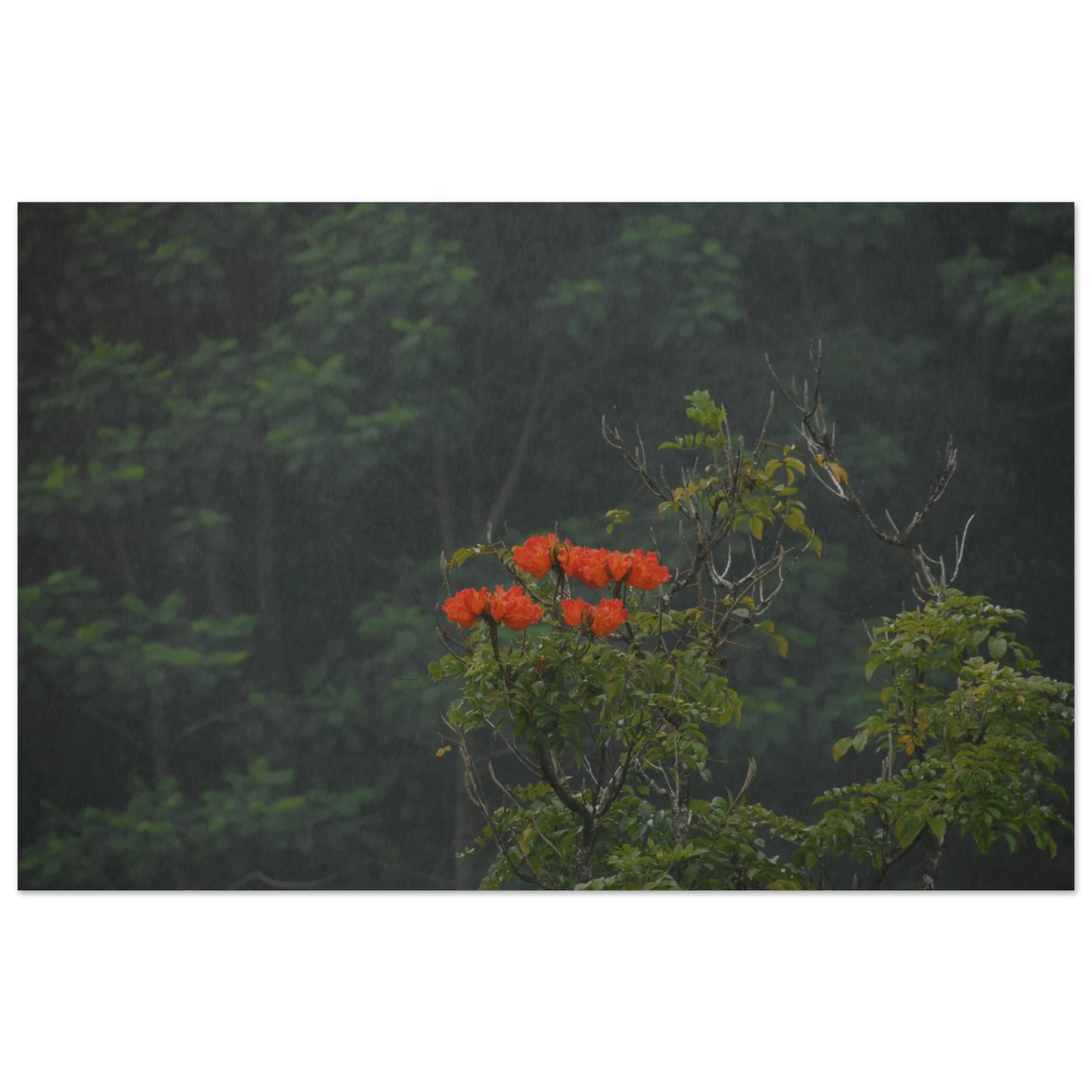 b5641acf-13f6-4a66-8ba9-4ecfb2b50997