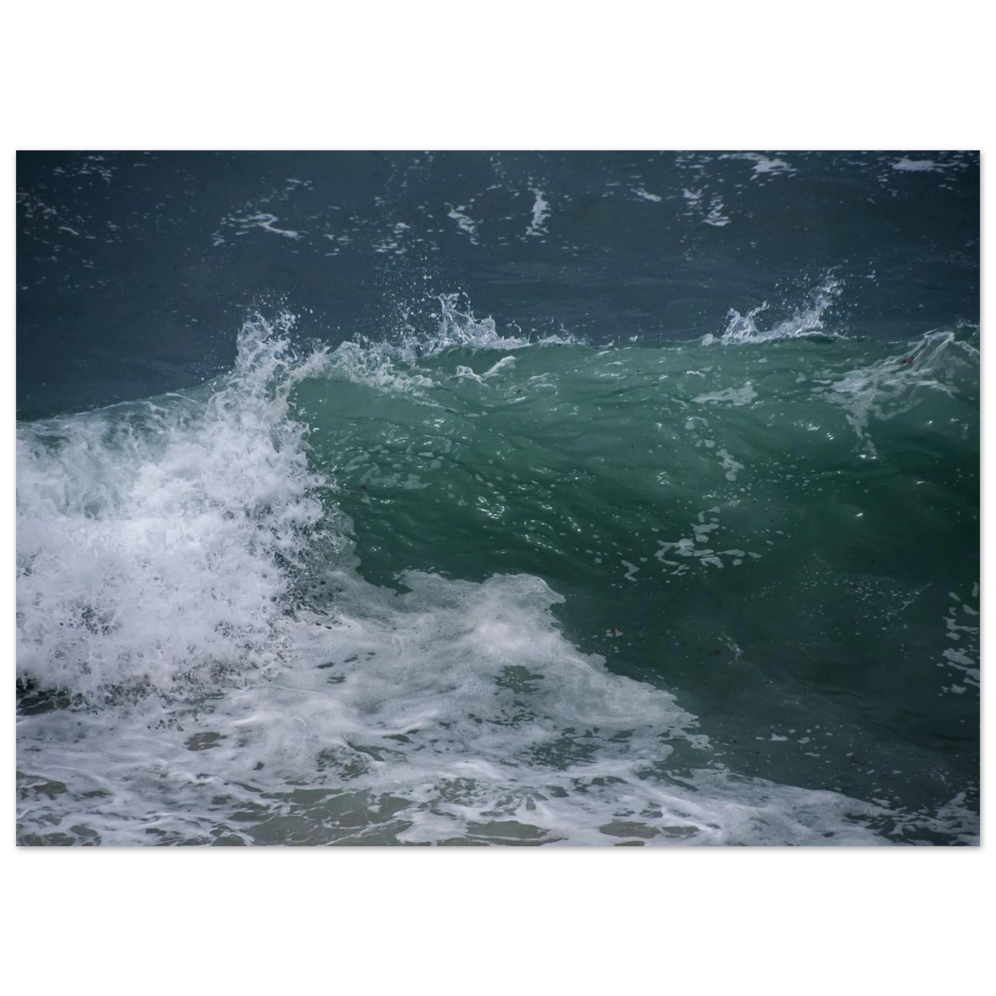 c6e76fae-ca93-4e07-8e09-66d13e6ac69b