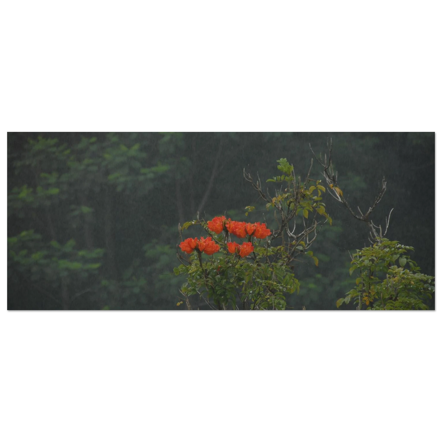 c7343f27-ff9f-434f-a07d-7bb384ddb1c8