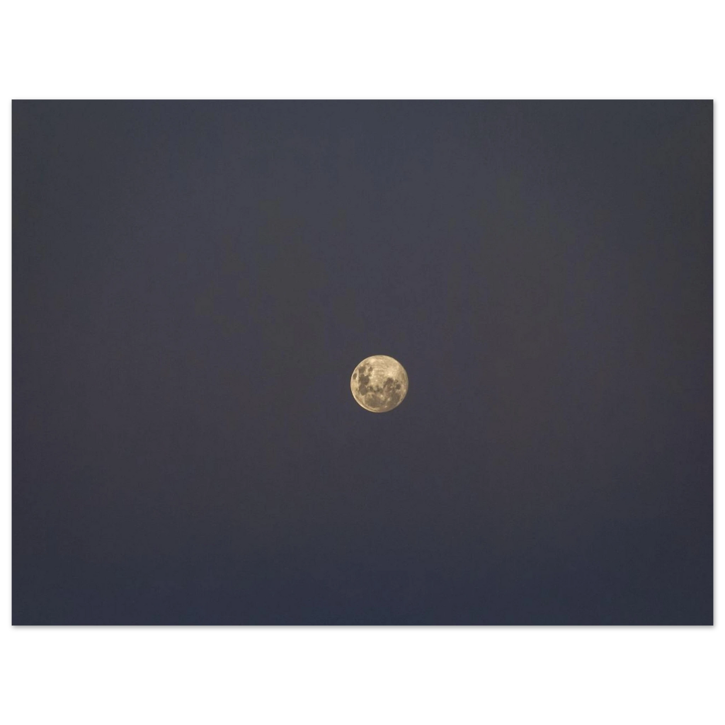 c85a3242-5556-470f-bd42-51f25cdd4411